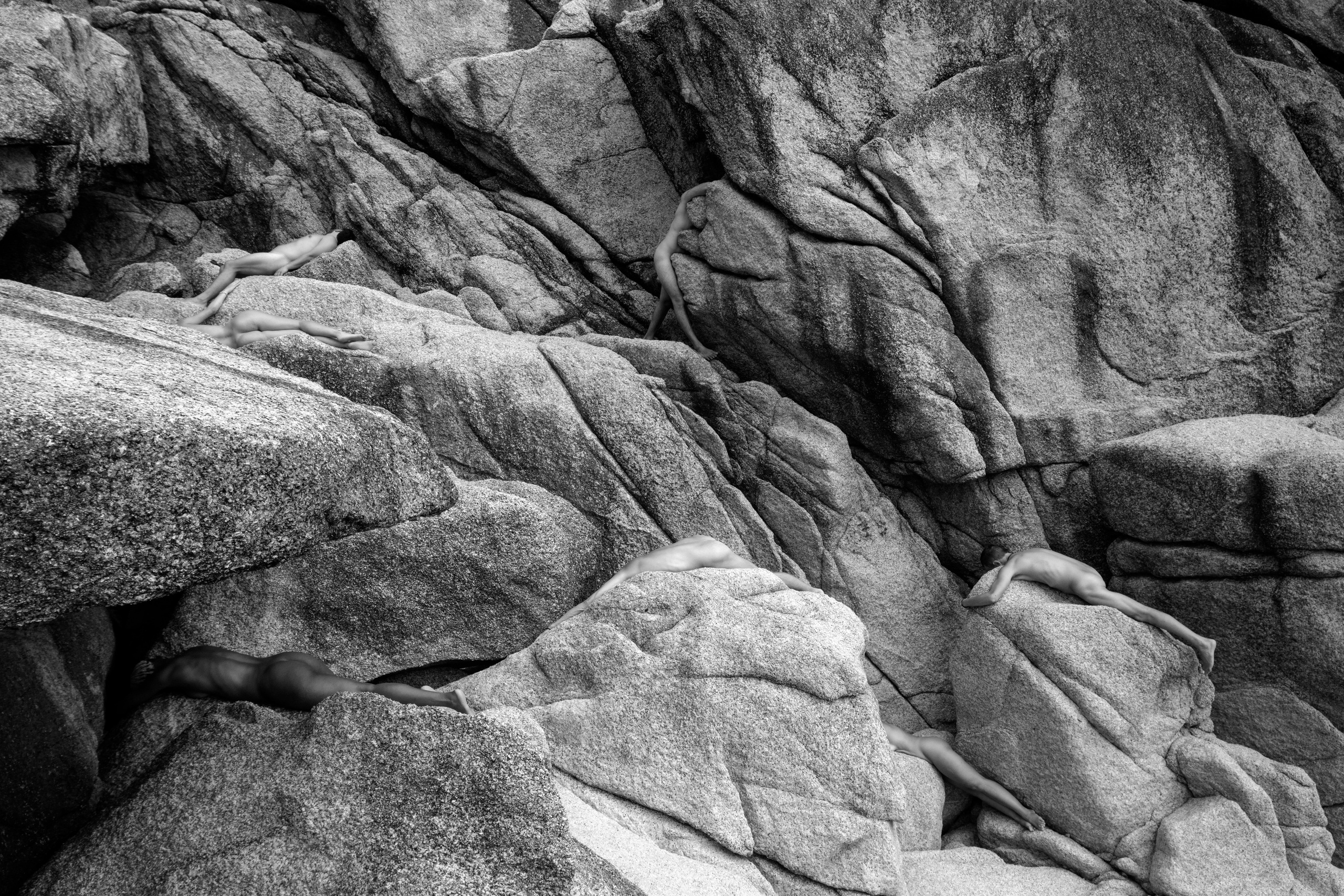 WILD. Anton Usanov | Creative producer | Photographer | Art-director