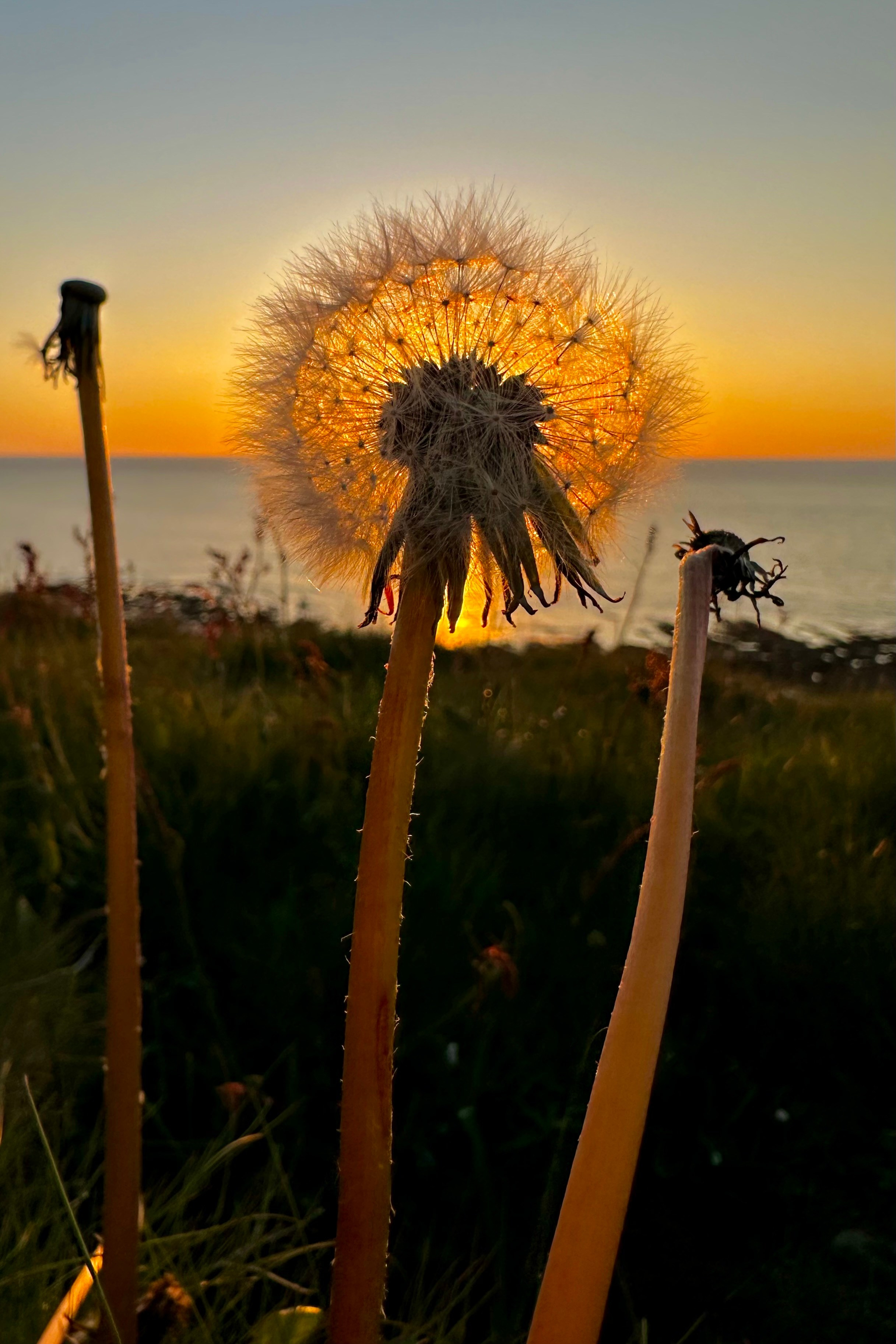 Пейзажи. Фотограф Таня Уорд Бидефорд Пермь Эксетер Плимут Лондон