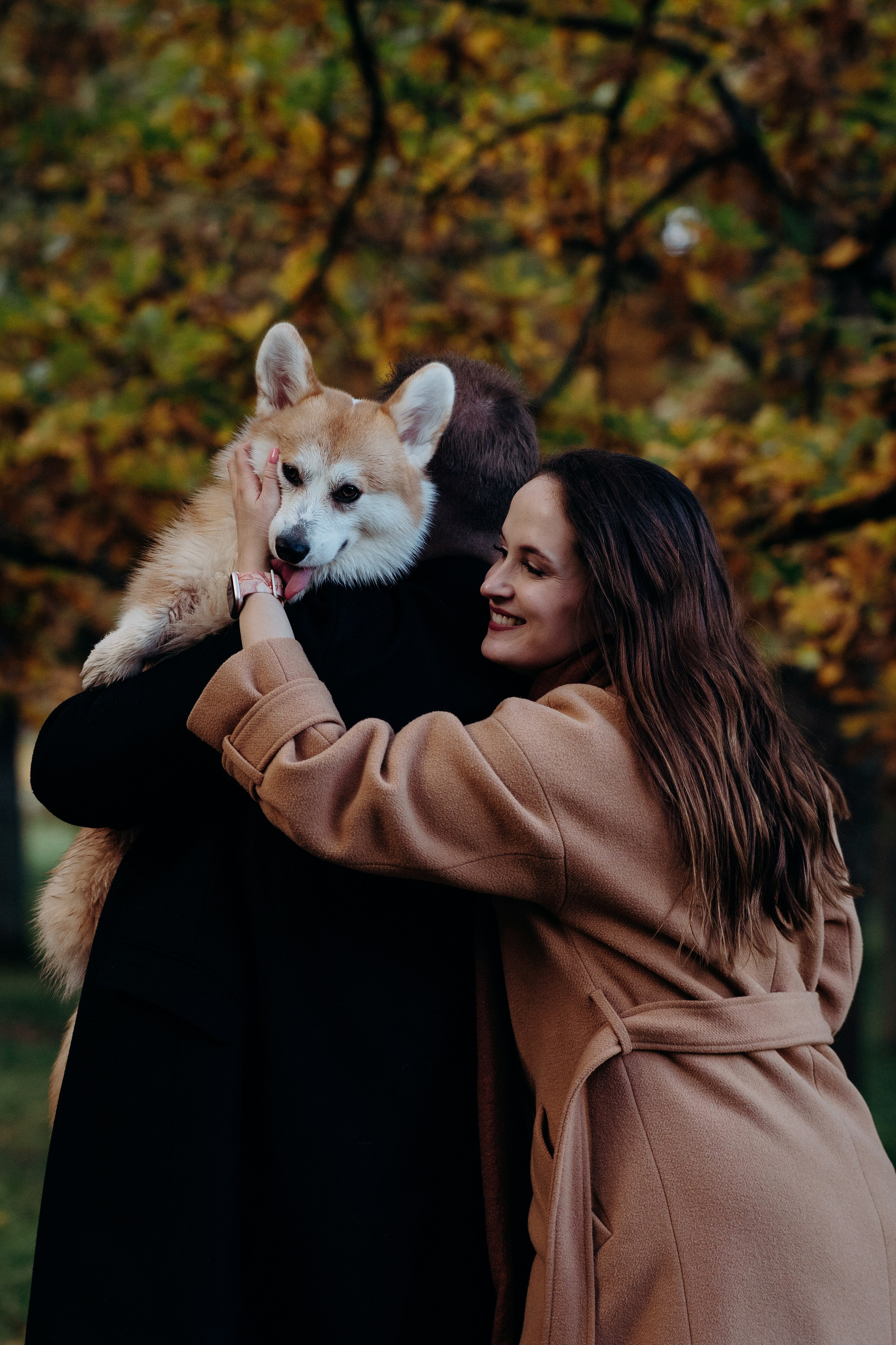 Liisa, Alexander & Marsel. Фотограф-анималист в Таллинне, Катя Лайсаар
