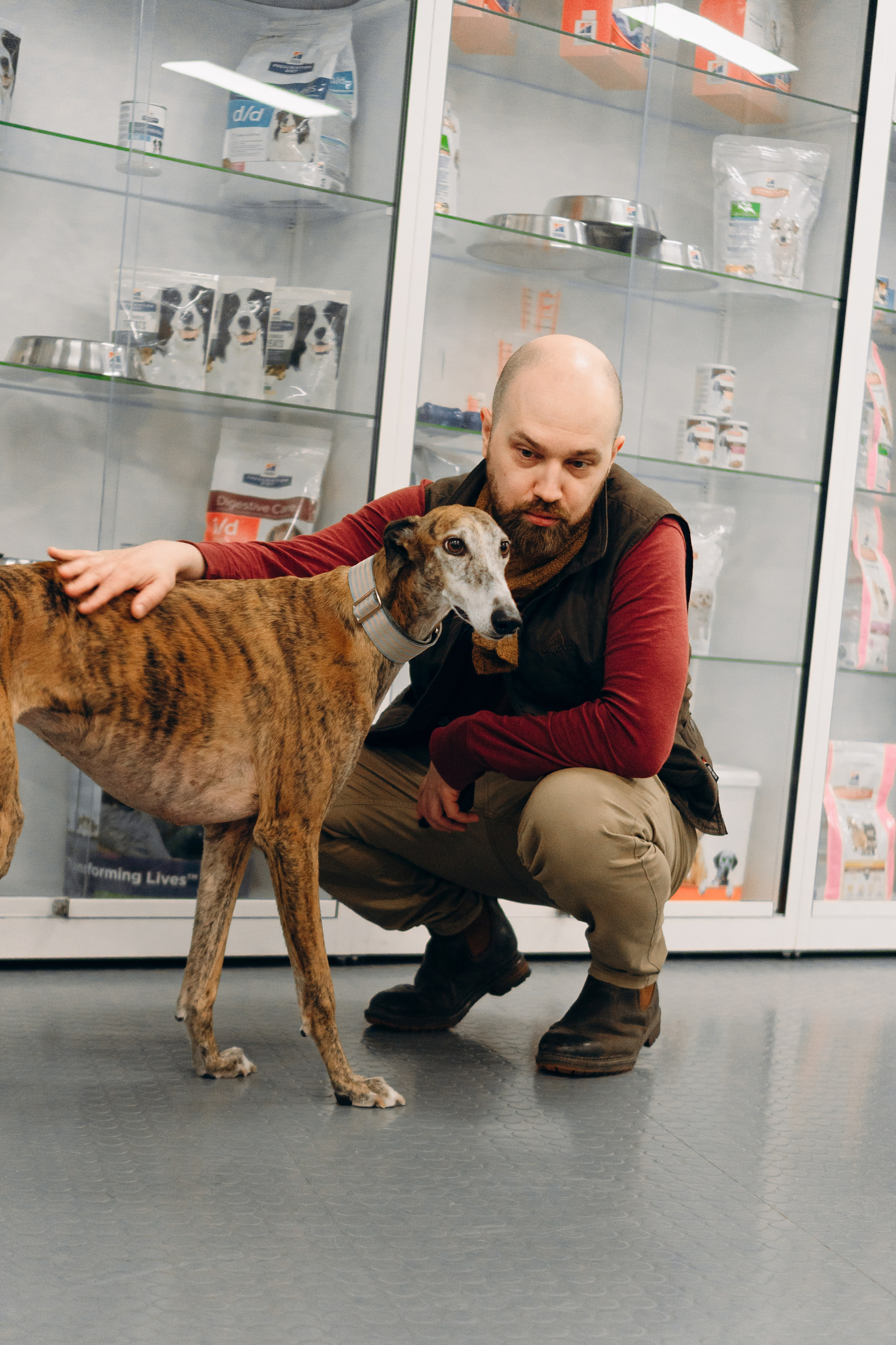 GalgoTreff / PetCity Rannamõisa, 13 apr. 2025. Kat Laisaar — Pet photographer in Tallinn