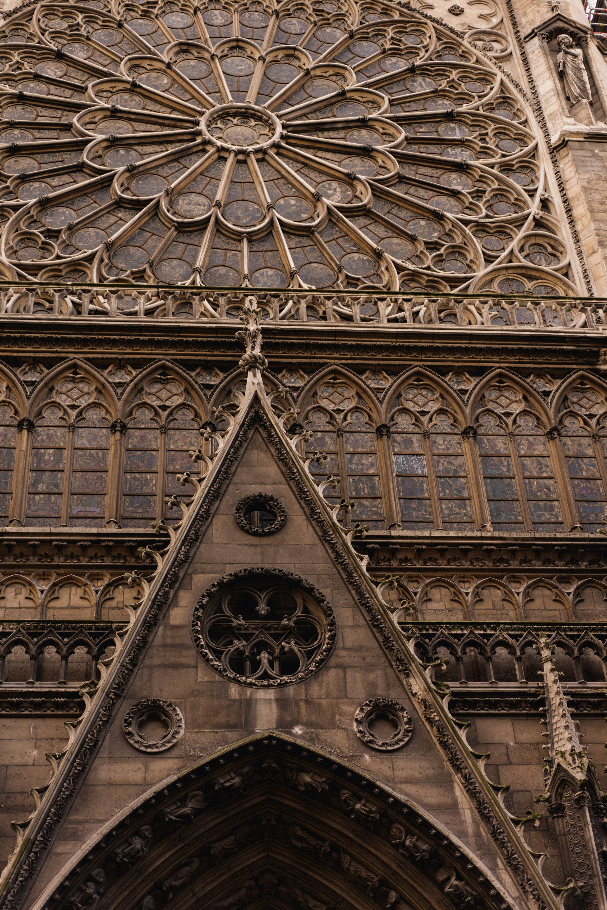 Paris. Дарья Филькова — фотограф и видеограф в Тбилиси, Грузия