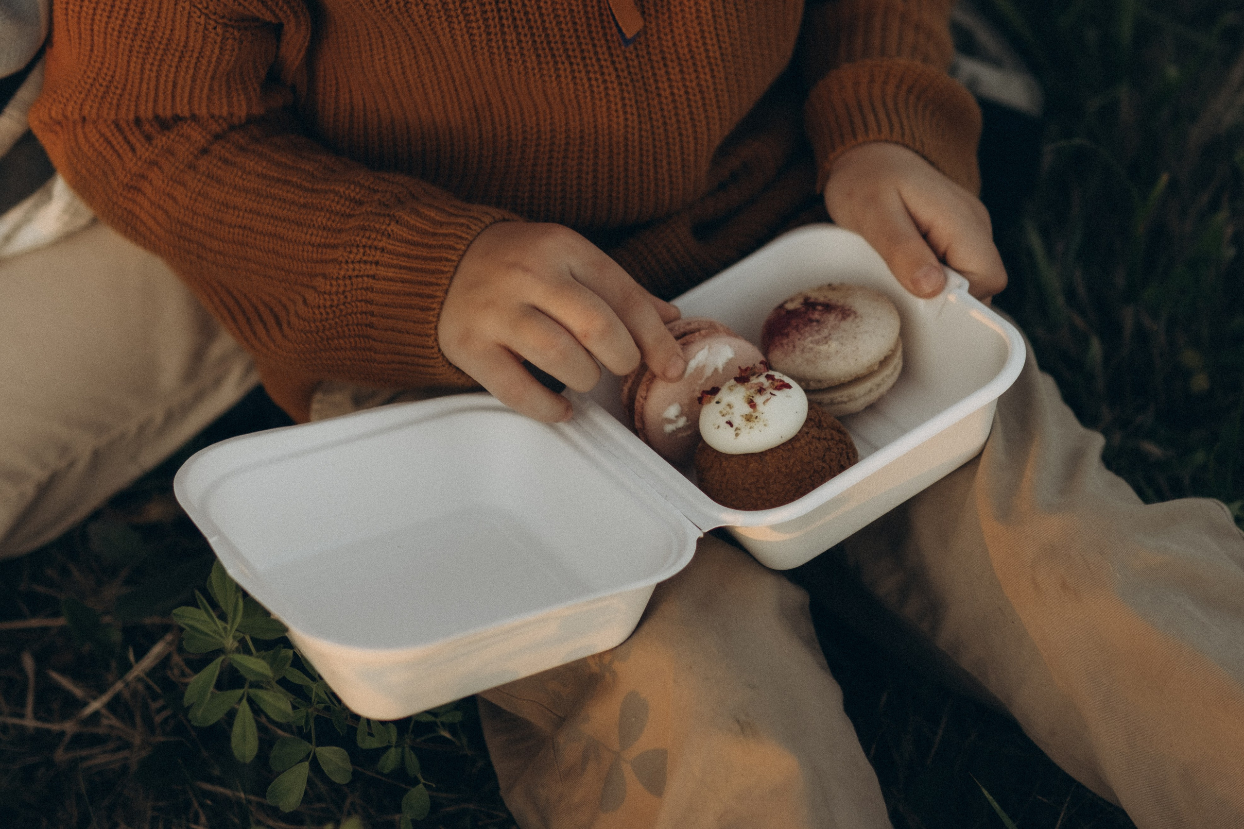 Autumn Story. Lens Captures Life