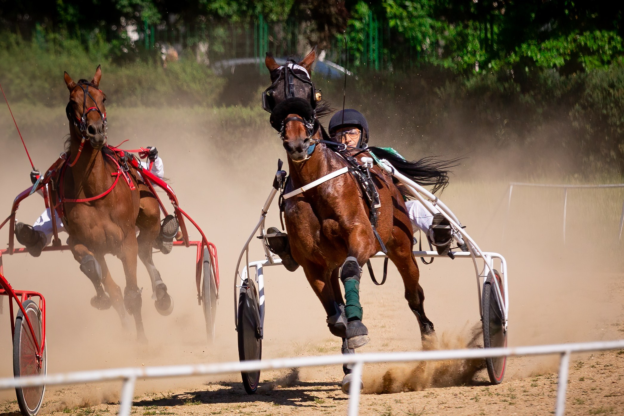 Konjičke trke u Požarevcu. Fotoivanpancevo