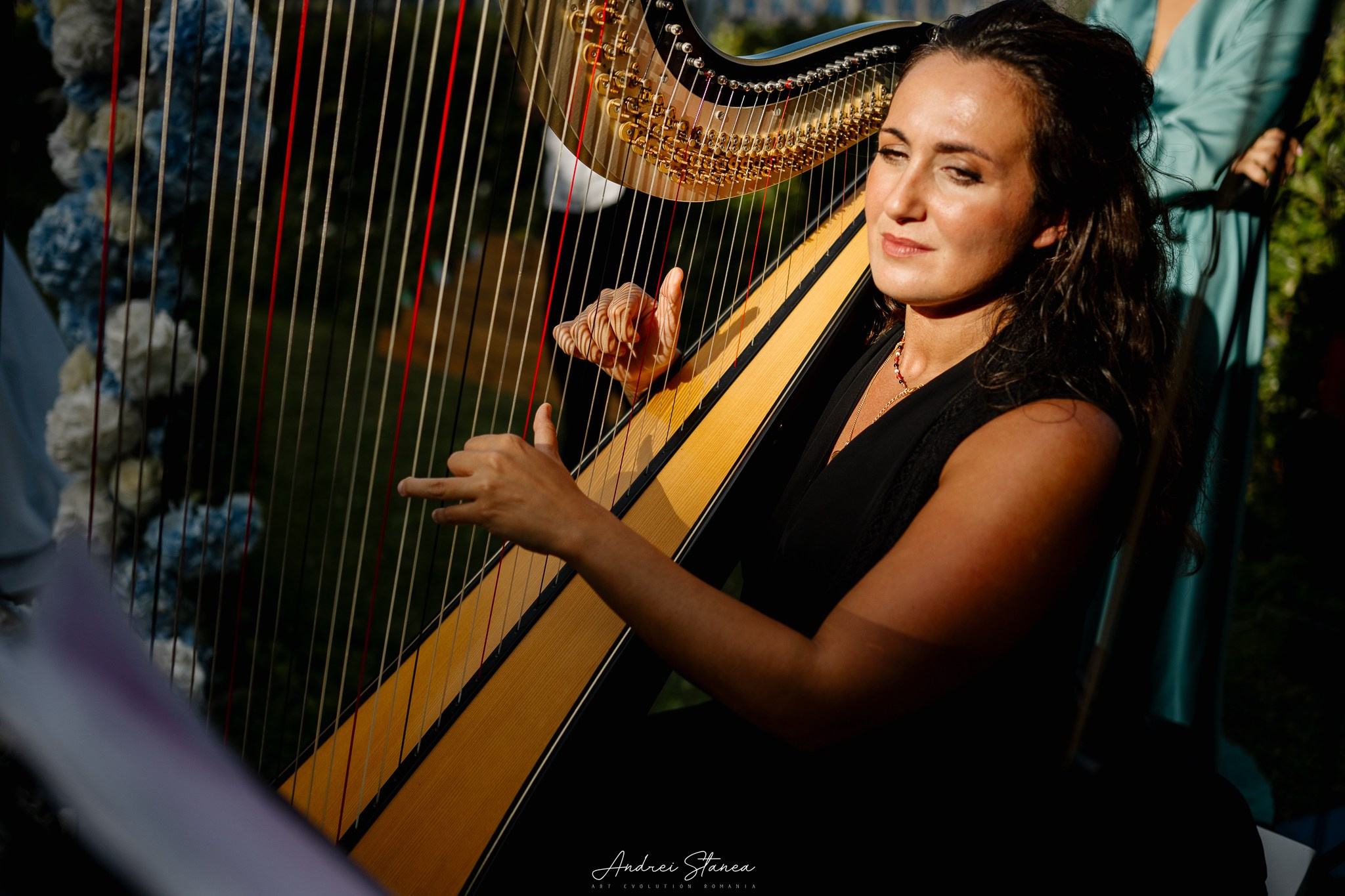 Portofolio. Andrei Stanea