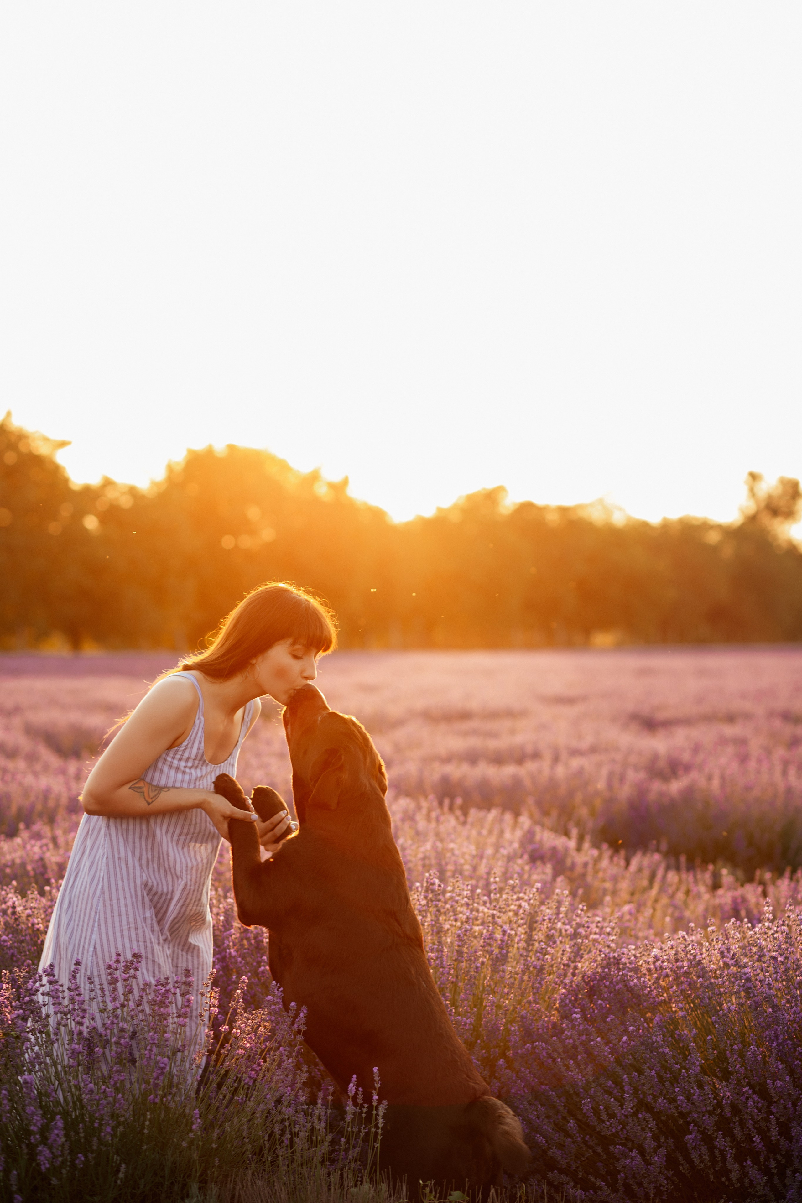 Ksenia&dogs. Семейный фотограф в Кишинёве Пулькина Ольга