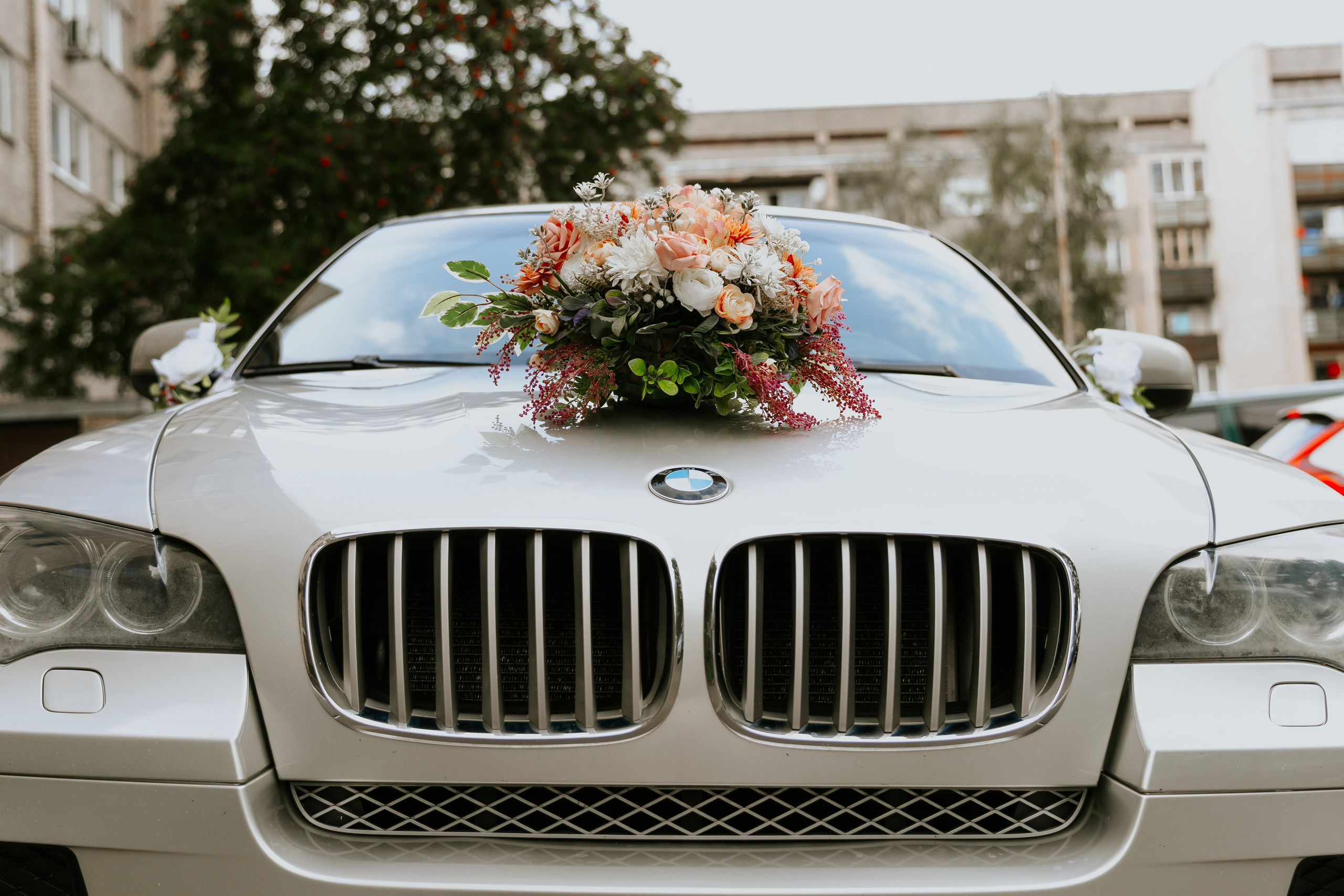 A&M. Montenegro photographer and videographer