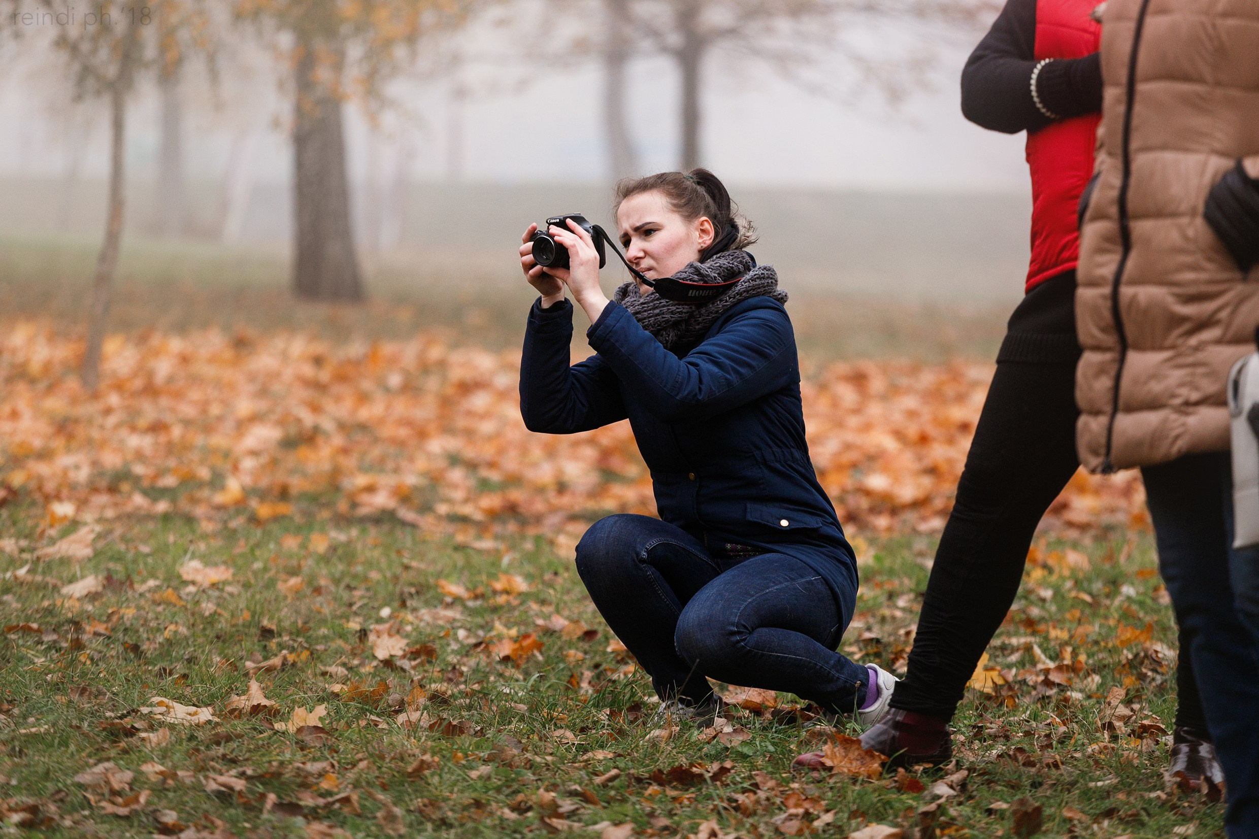 Frisbee and dog puller championship | autumn. Kaja | fotograf we Wrocławiu | ludzie i psy