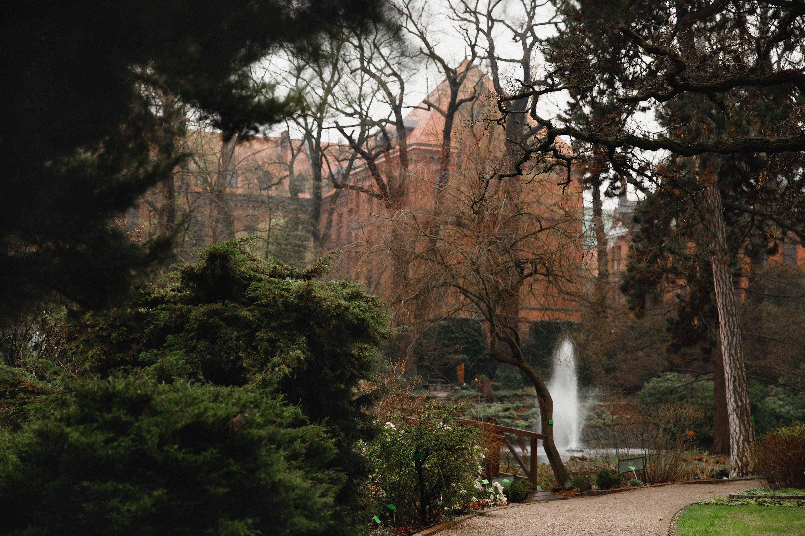 Botanical garden in Wroclaw. Kaja | fotograf we Wrocławiu | ludzie i psy