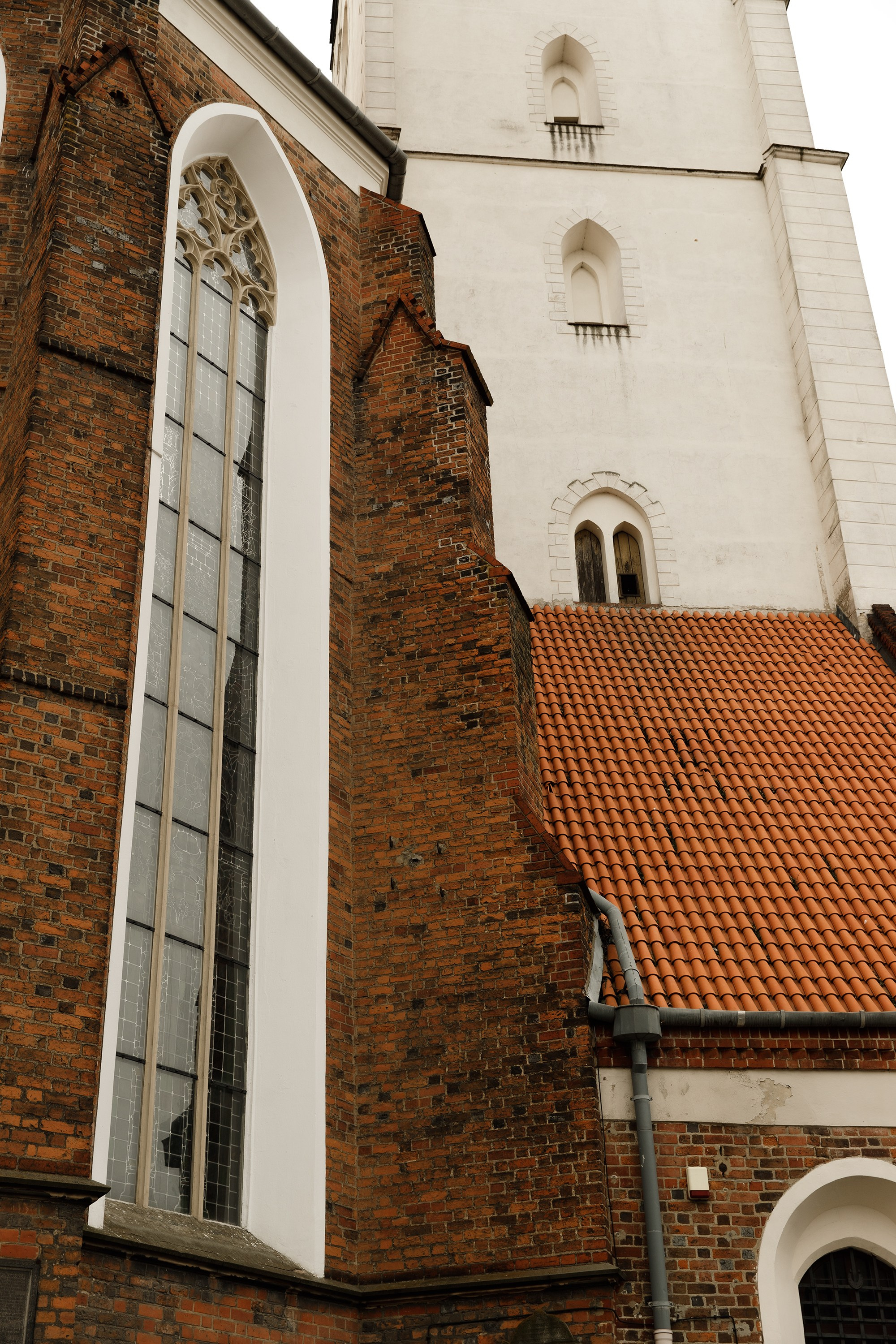Oleśnica castle. Kaja | fotograf psów we Wrocławiu