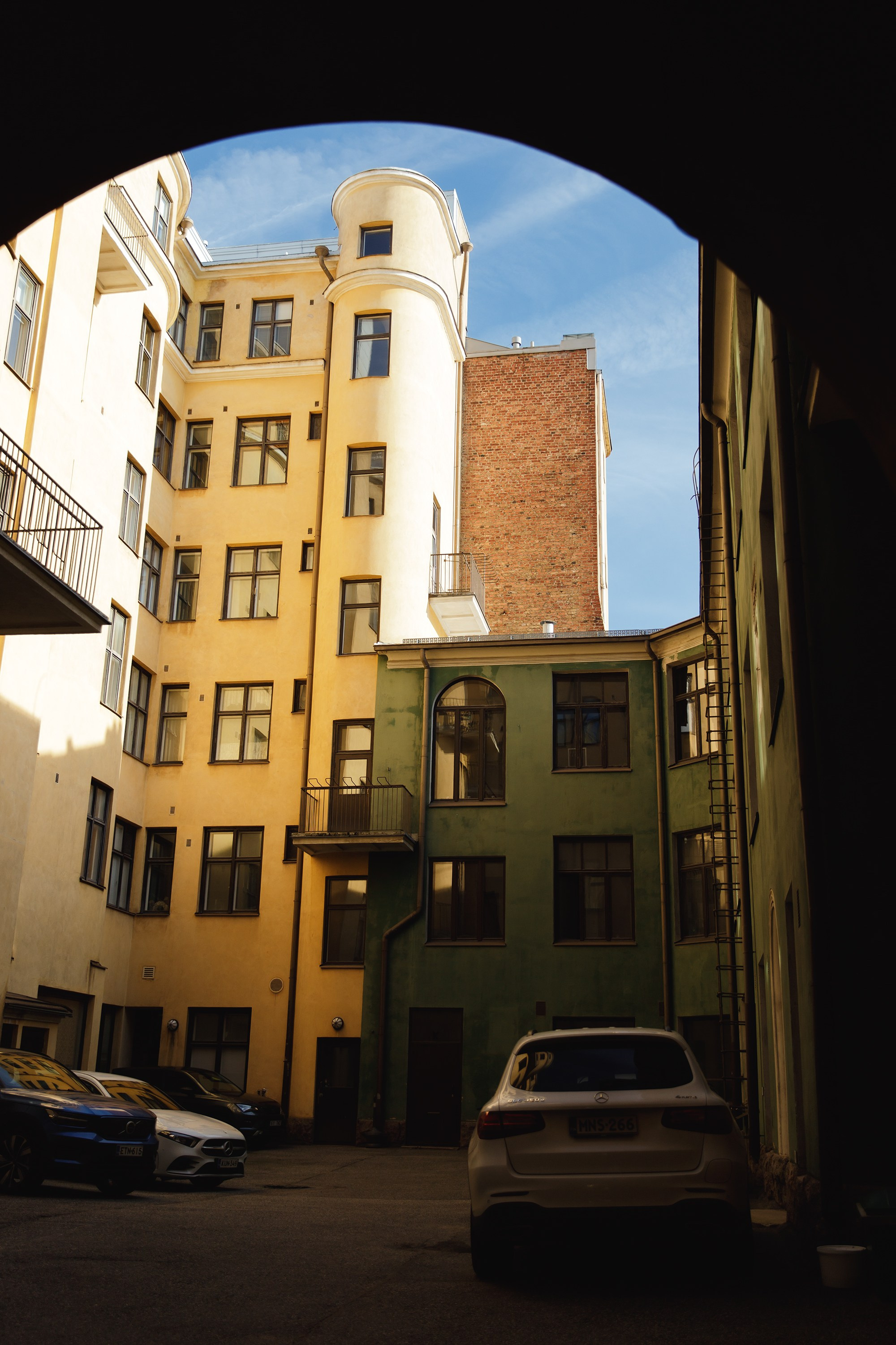 Helsinki. Kaja | fotograf psów we Wrocławiu