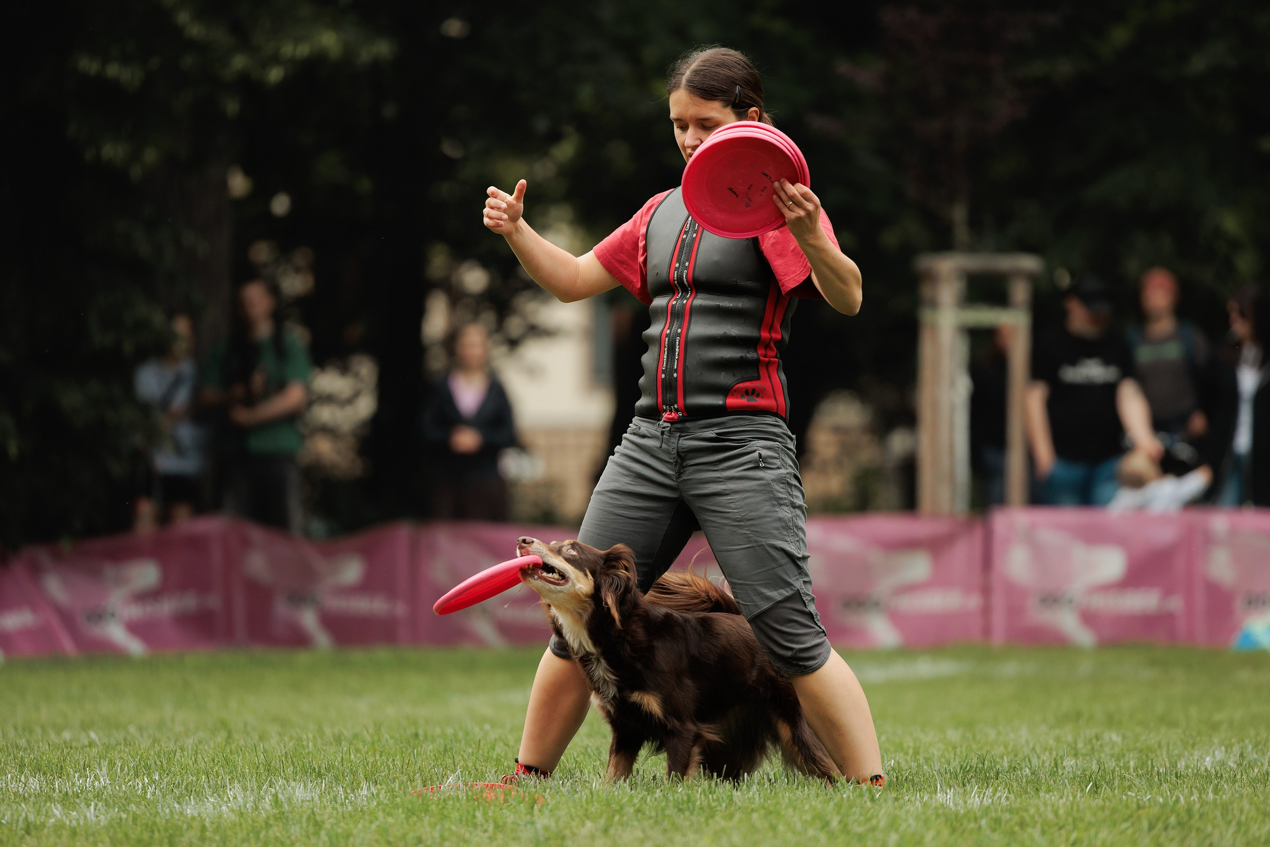 Latające psy, Wrocław'25. Kaja | fotograf psów we Wrocławiu
