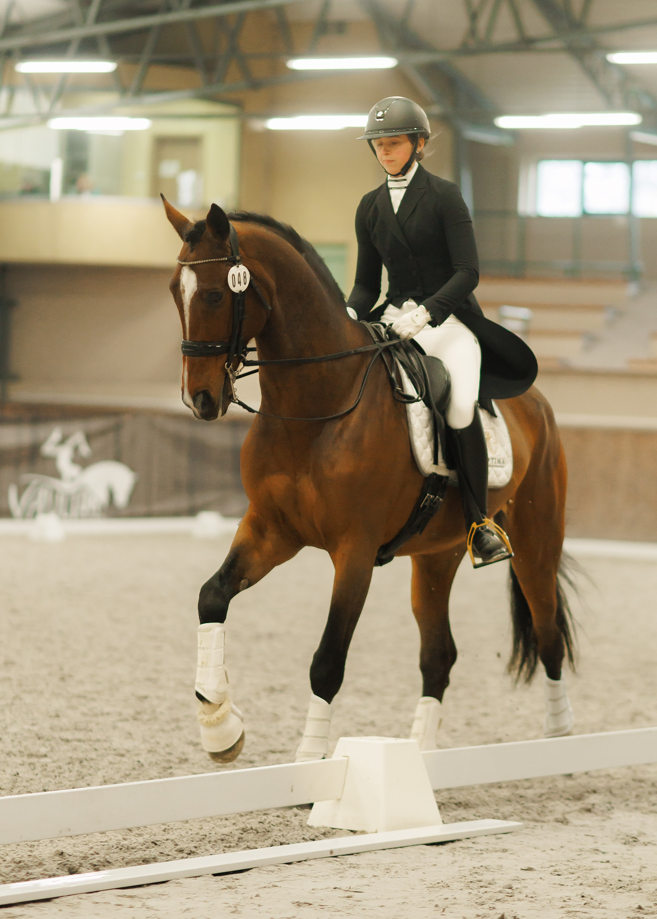 Partynice dressage \ feb'25. Kaja | fotograf we Wrocławiu | ludzie i psy