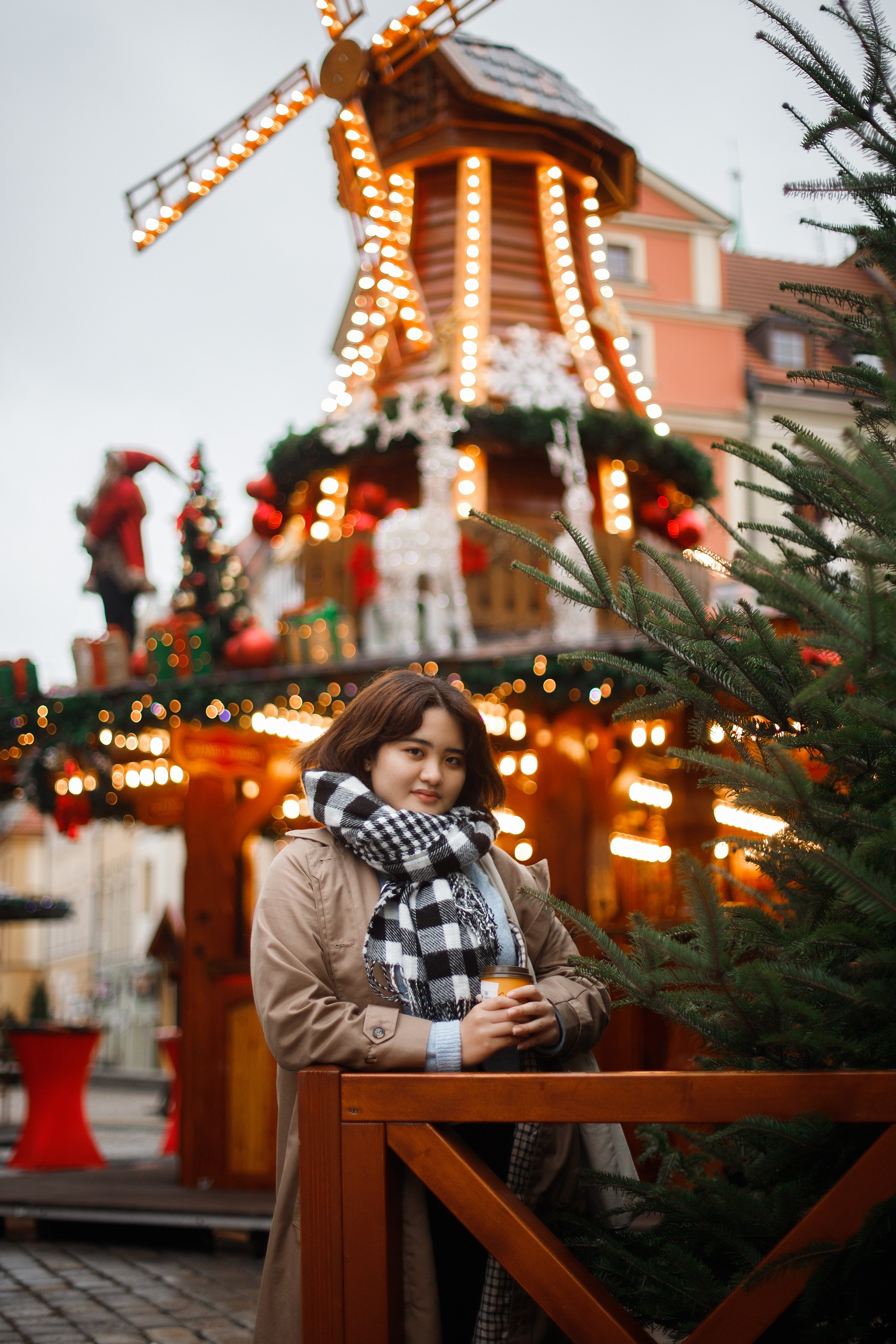 Misaki at christmas market. Kaja | fotograf psów we Wrocławiu