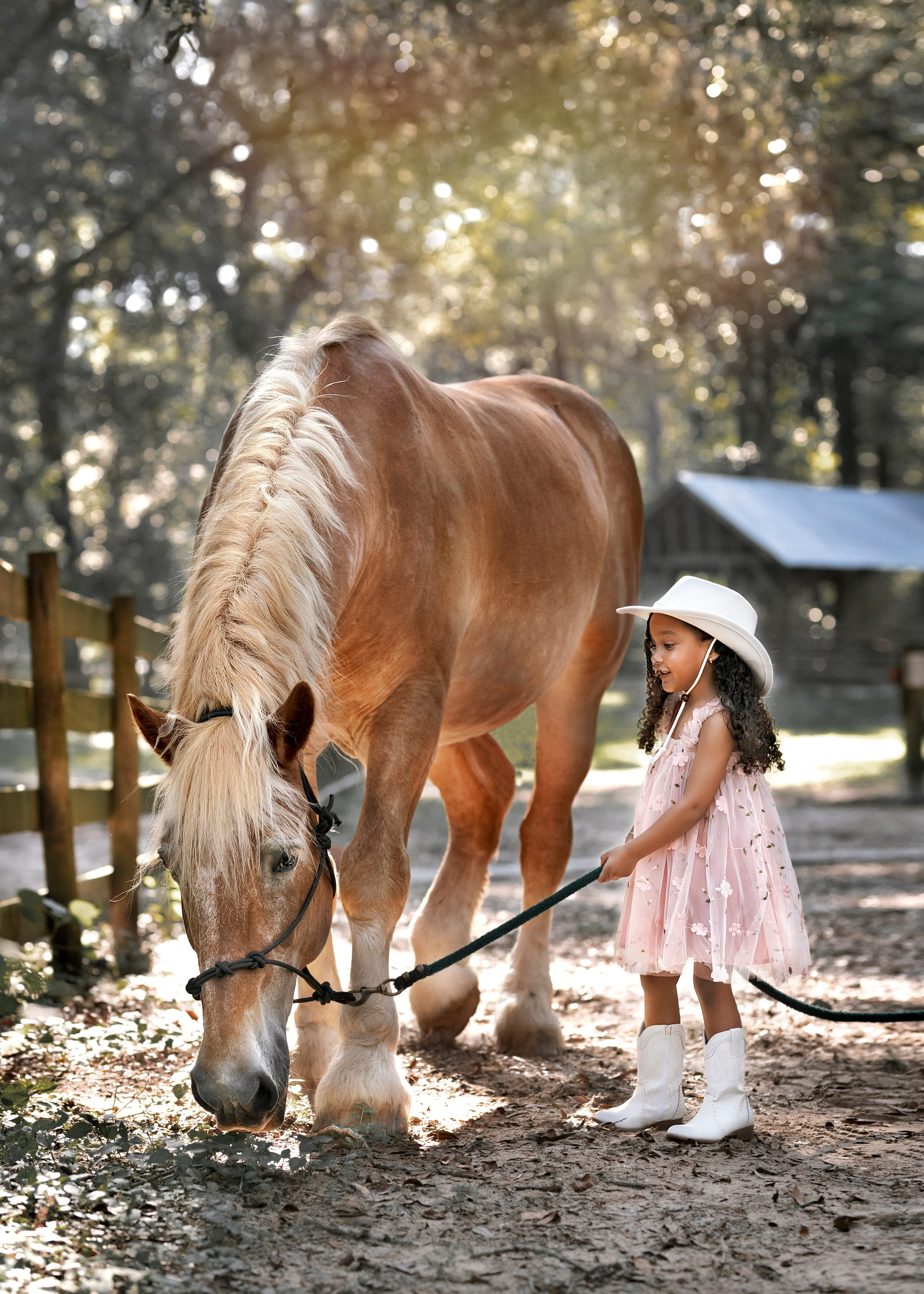 Birthday. Portrait, kids and family photographer in Wesley Chapel Alina Alice Osipova