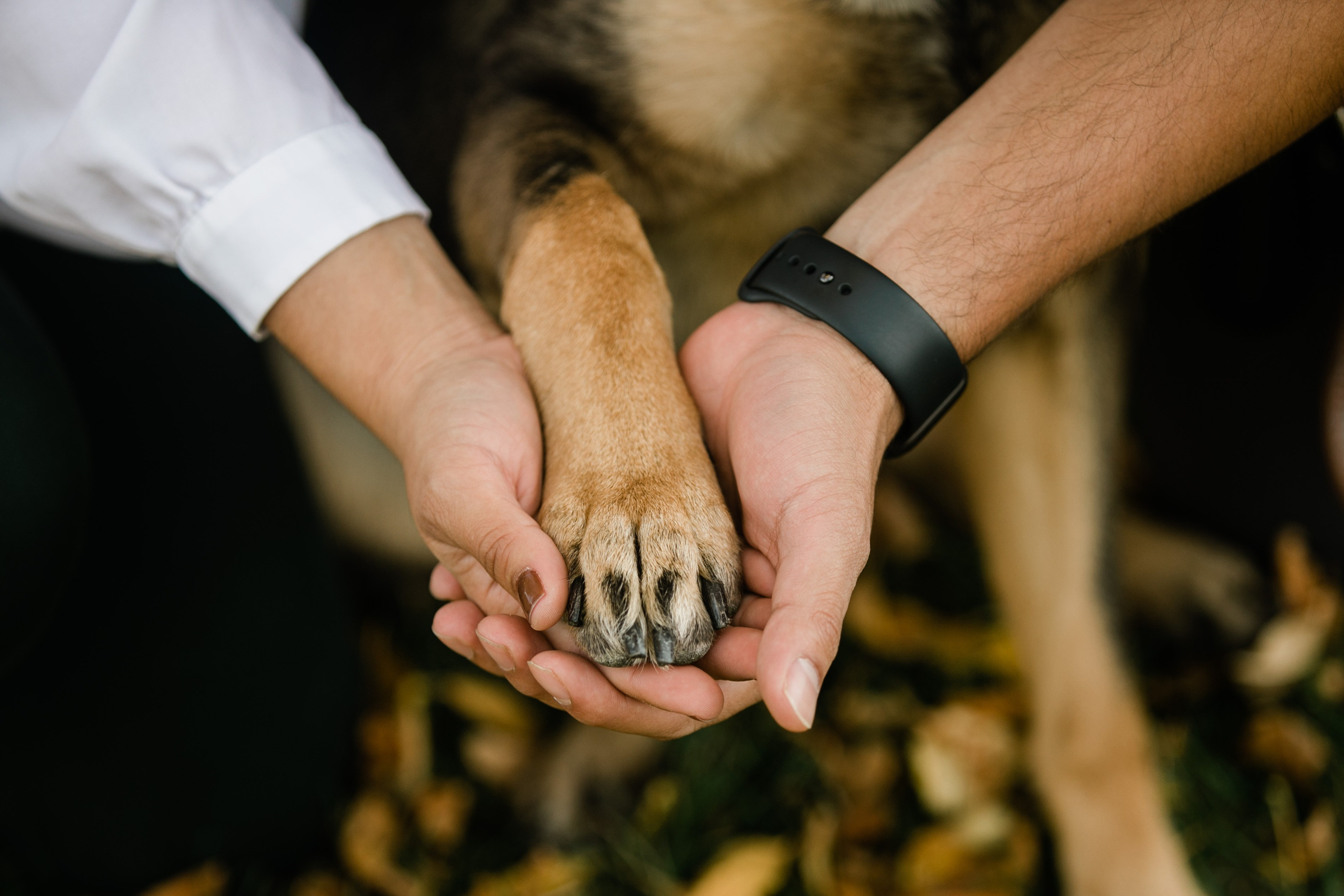 Romero’s Family Photos — Fall. Fotografía accesible en Calgary