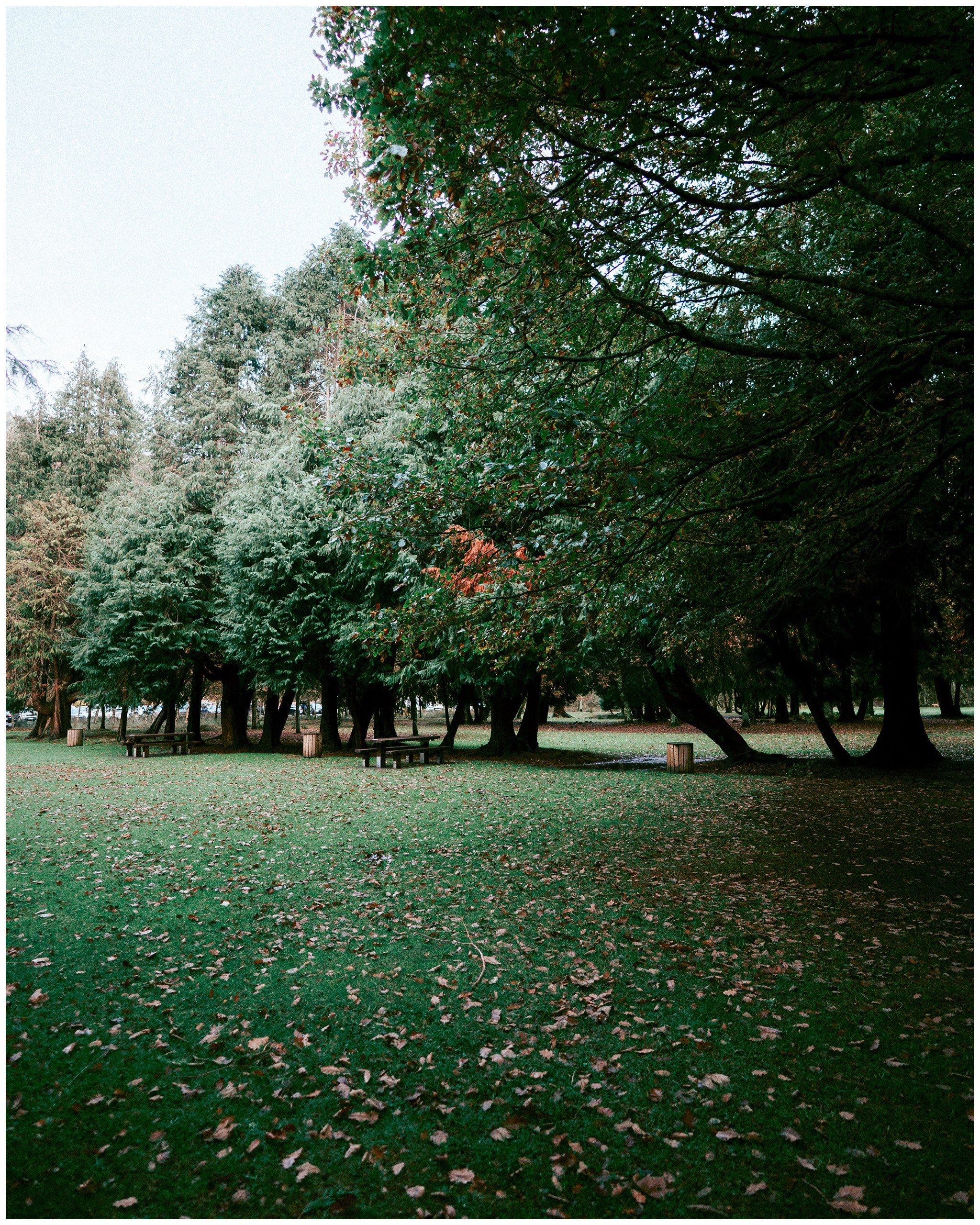 IRELAND. Inna Mendelson — Photographer