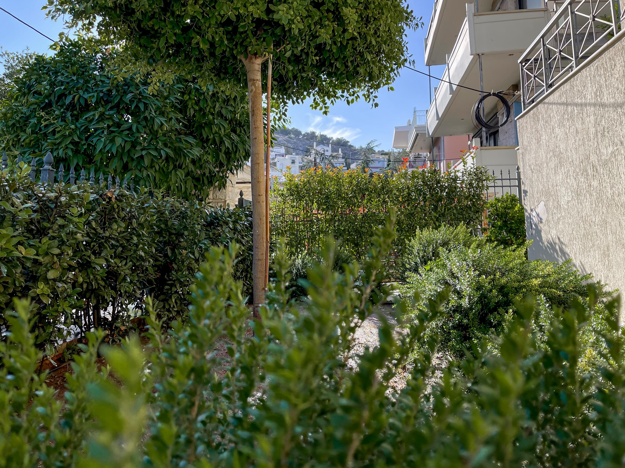 Κήπος Ψυχικό. Geoponitikon-Όταν η Επιστήμη συναντά την Τέχνη στο Φυσικό Τοπίο!