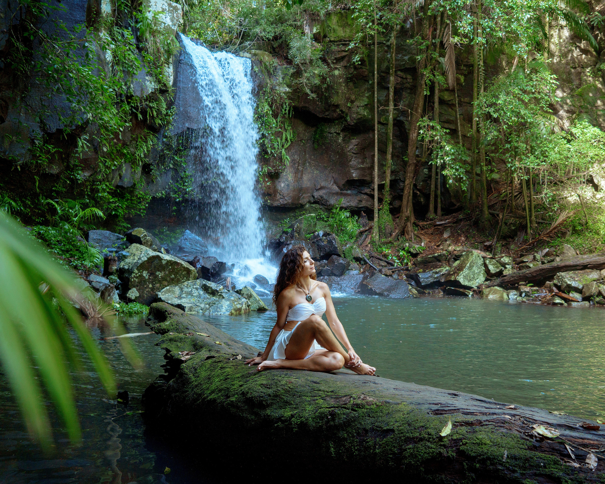 Tropical Forest with Ran. Welcome!