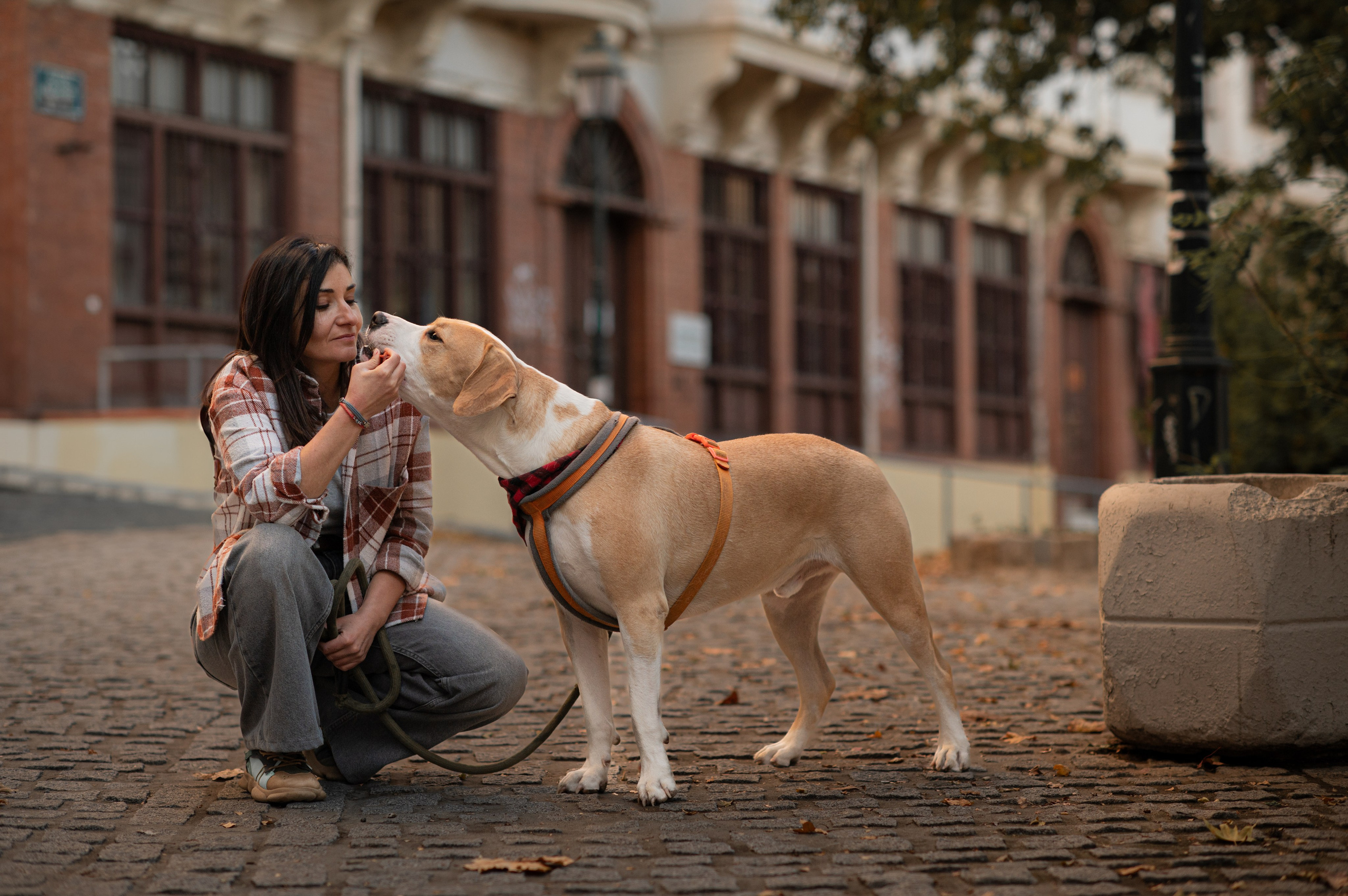 Around Old city. Family, children, portrait, and event photography in Thessaloniki