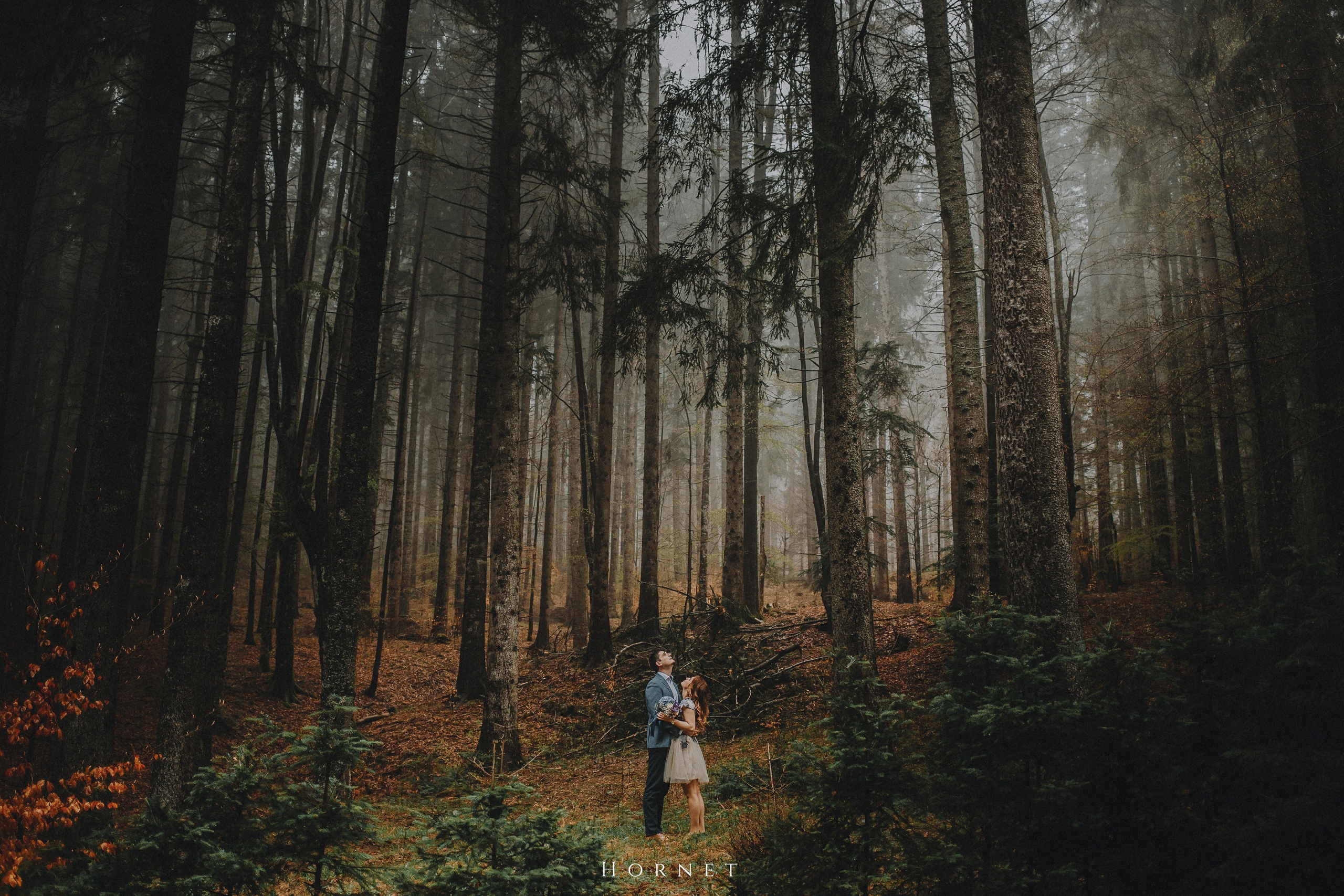 Logodna/Engagement. Hornetart