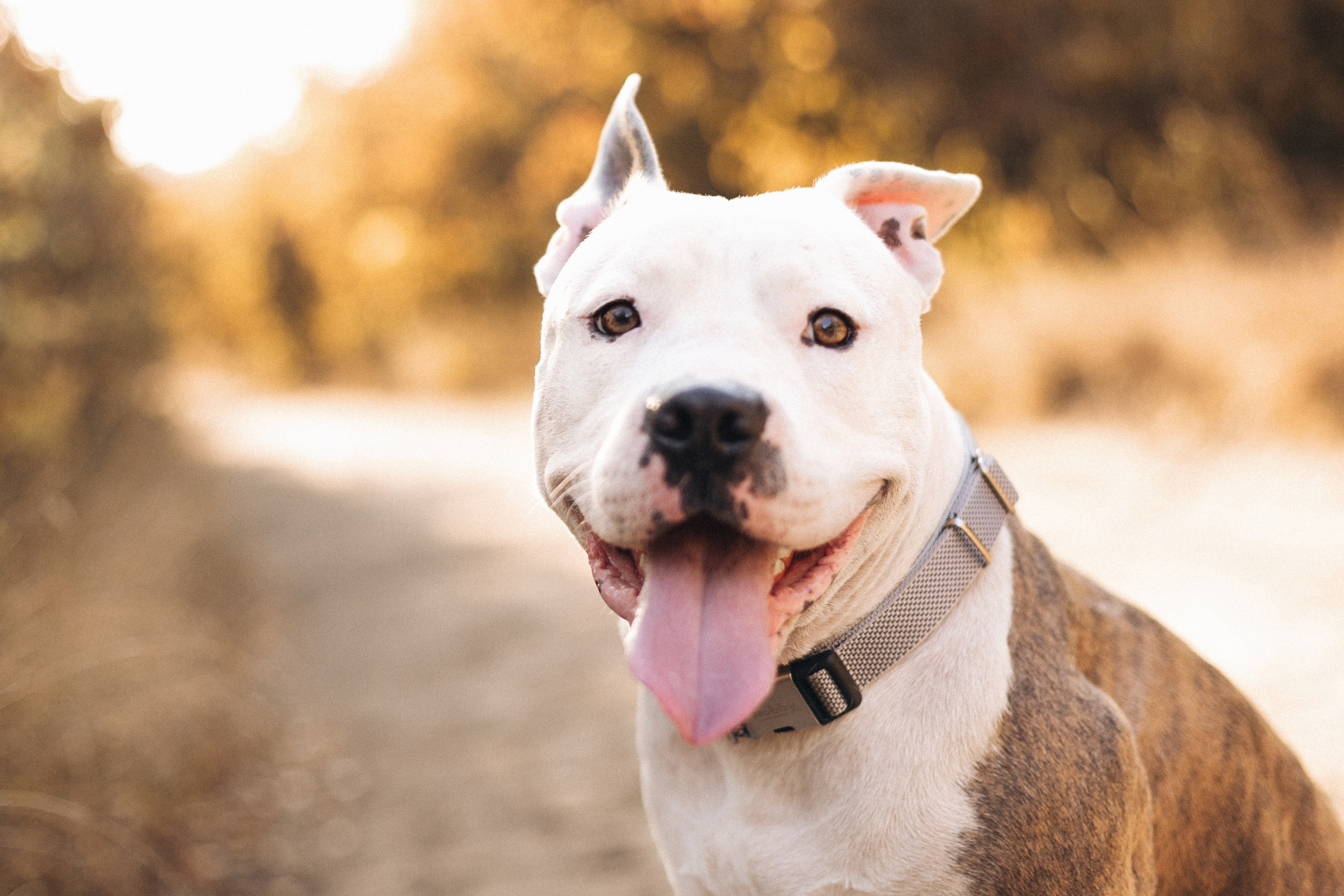 Thor&Ira. Семейный фотограф в Кишинёве Пулькина Ольга