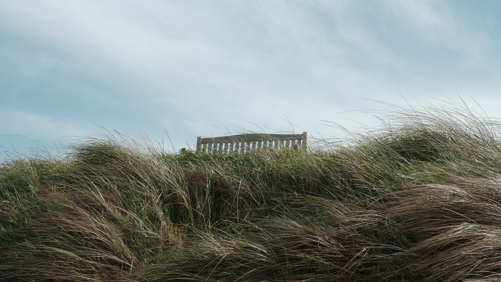 Wales Road Trip 2026. Callum Ecobichon
