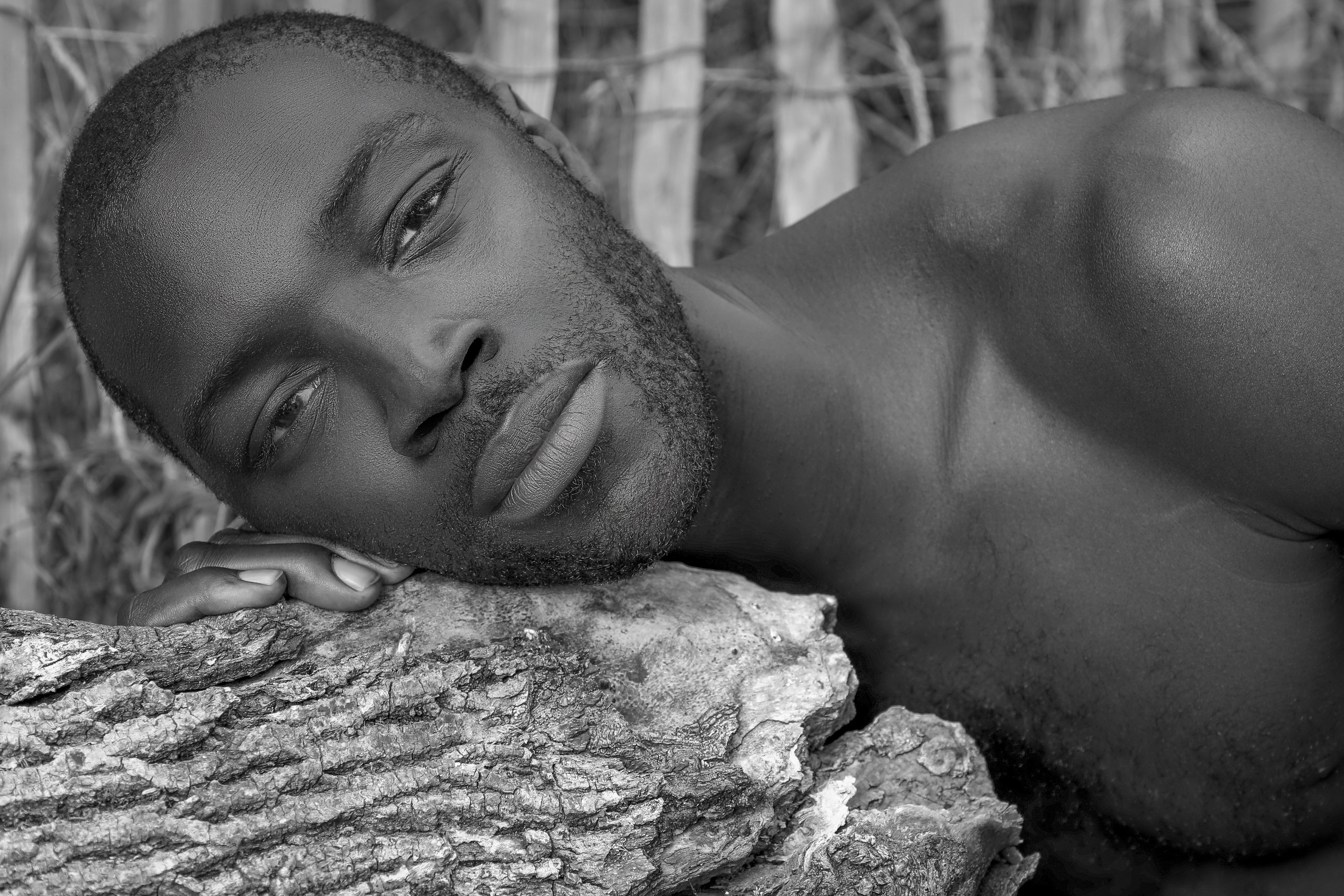 STEVE. Photographe Karen Tatevosian