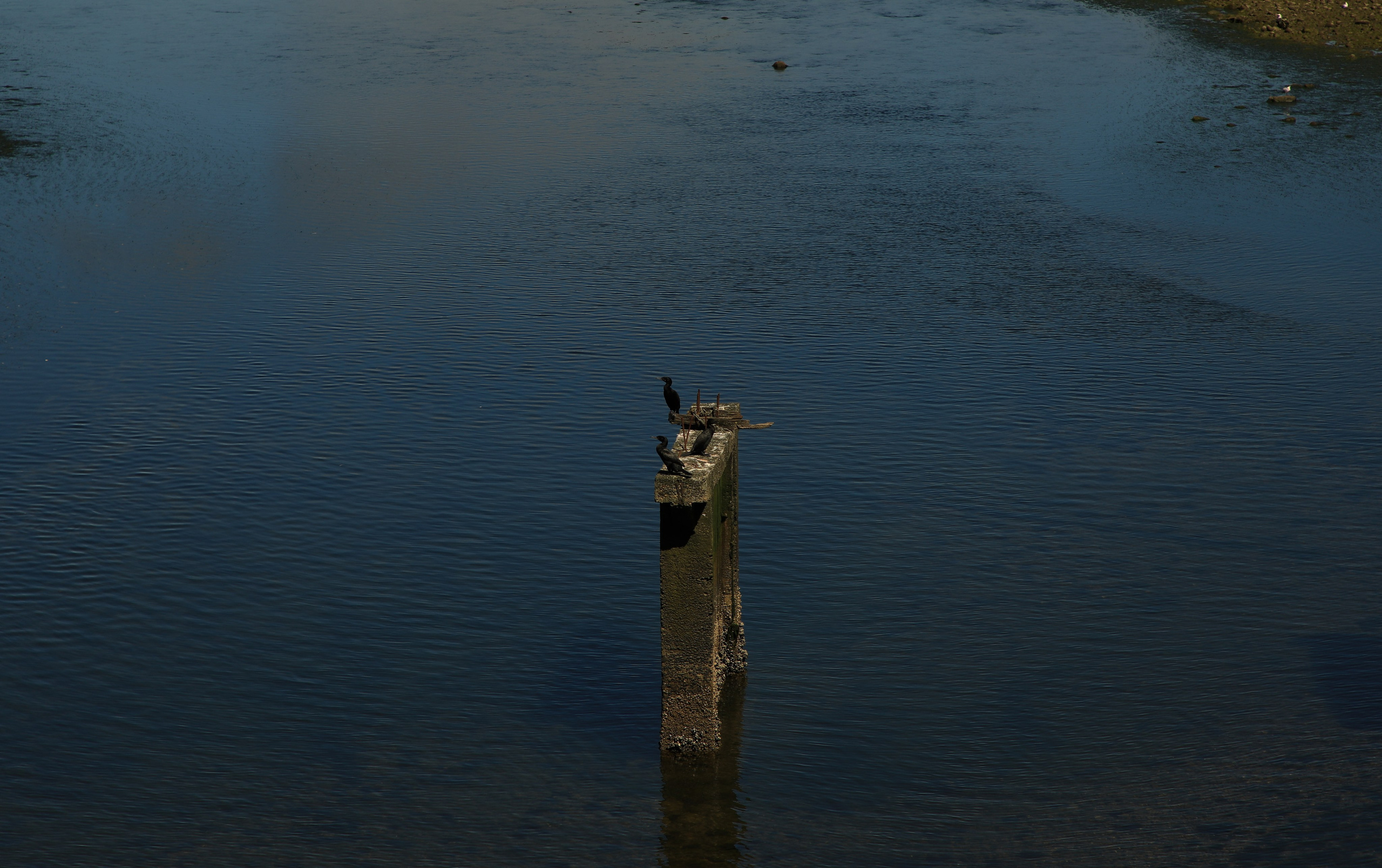 PATAGONIE. Photographe Karen Tatevosian