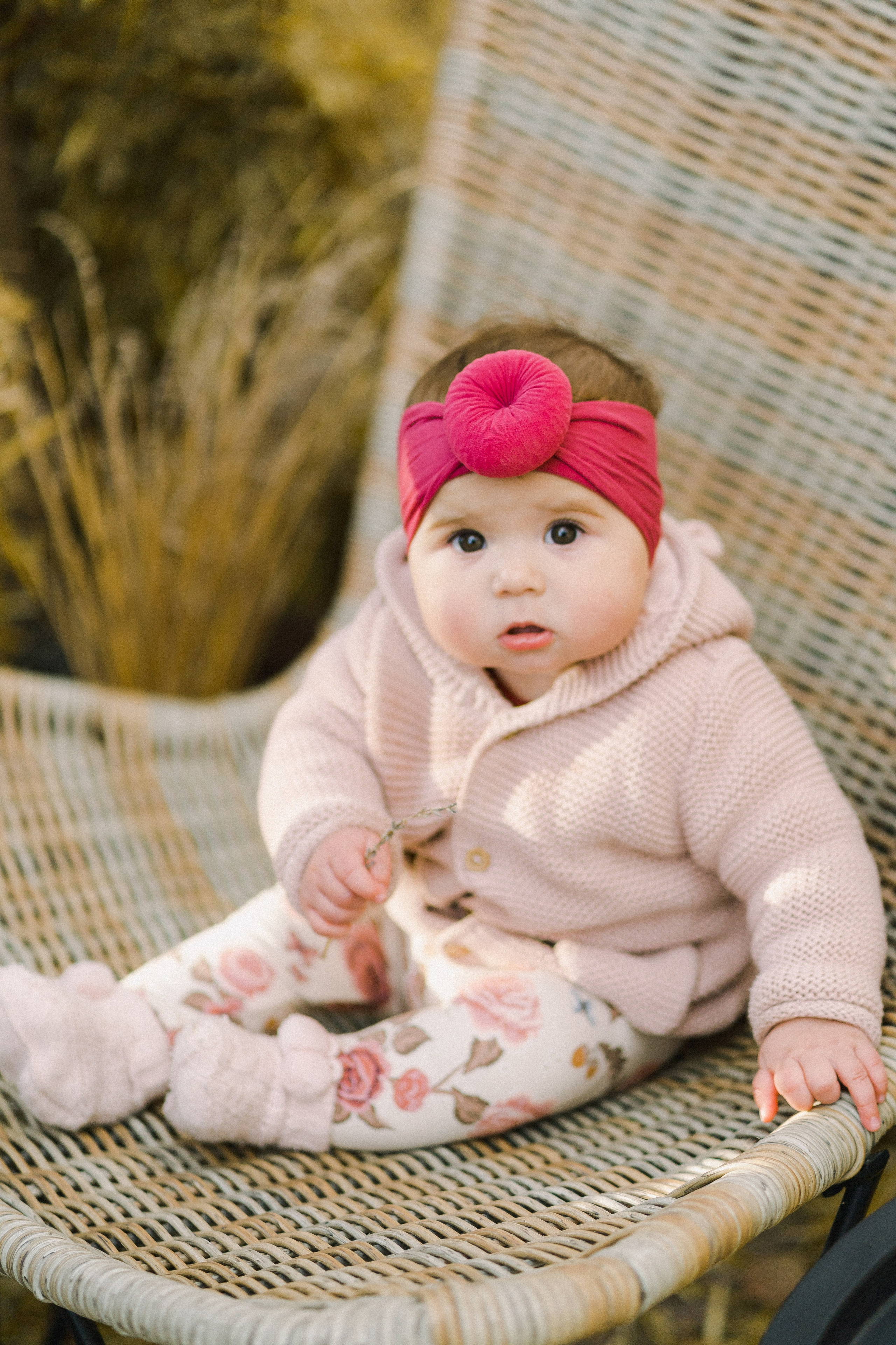Family walk in the park. Wedding and family photographer Ireland