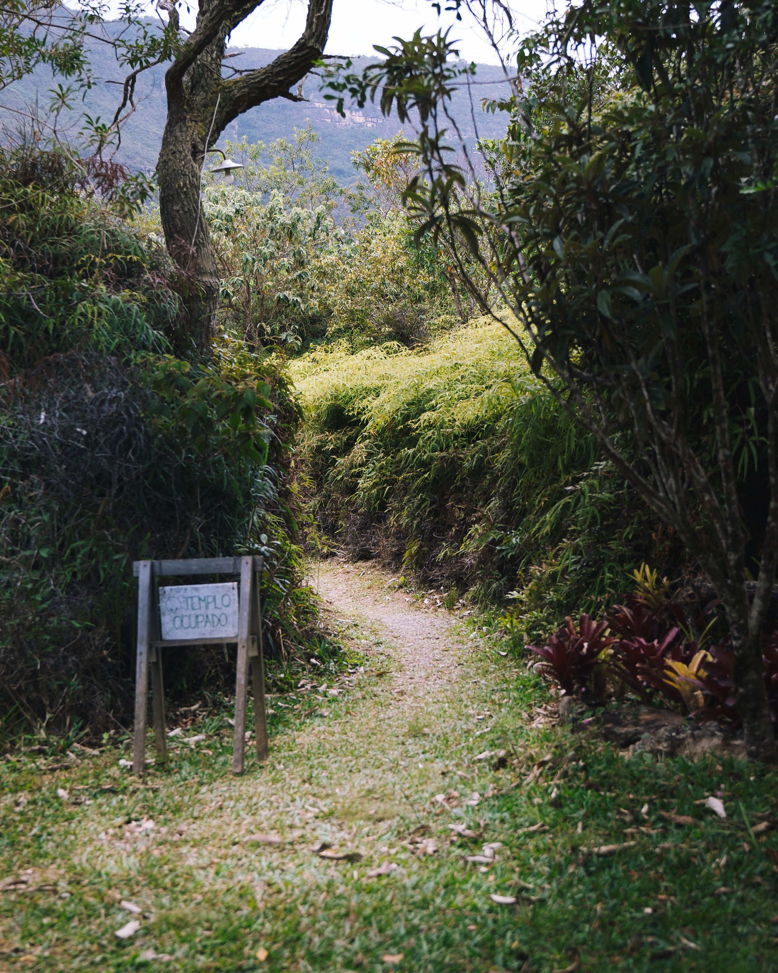 Retiro Meia Lua Yoga | 2025. Fotografo & Videomaker