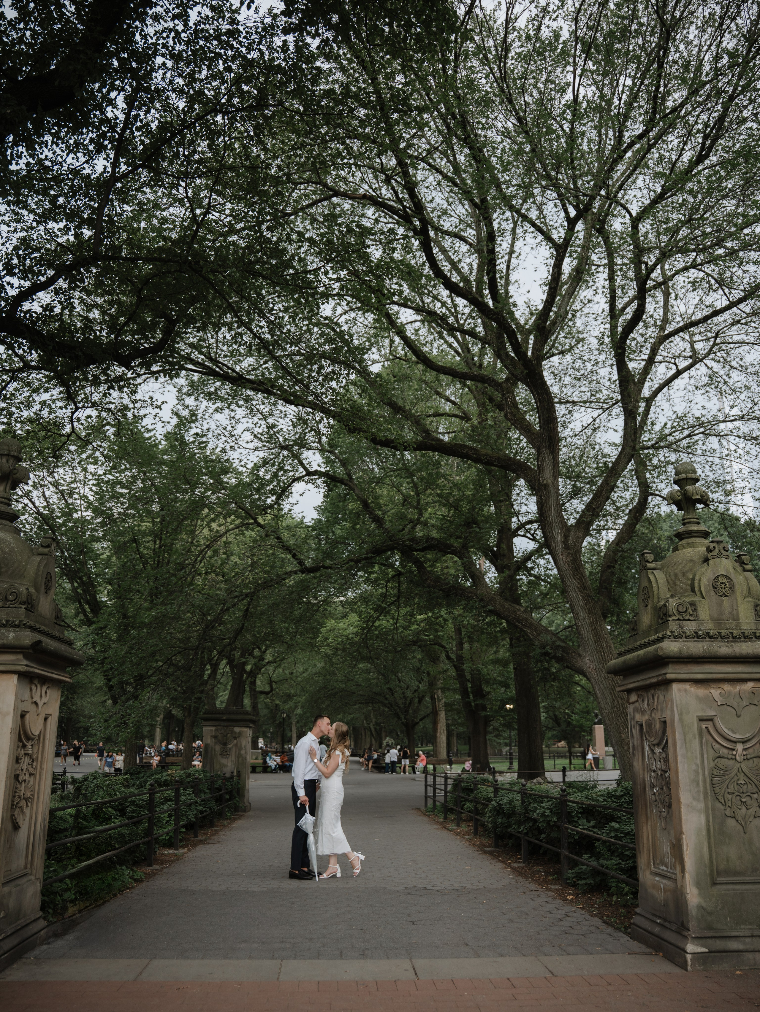 Engagement in Central Park. Portrait and wedding photographer in New York