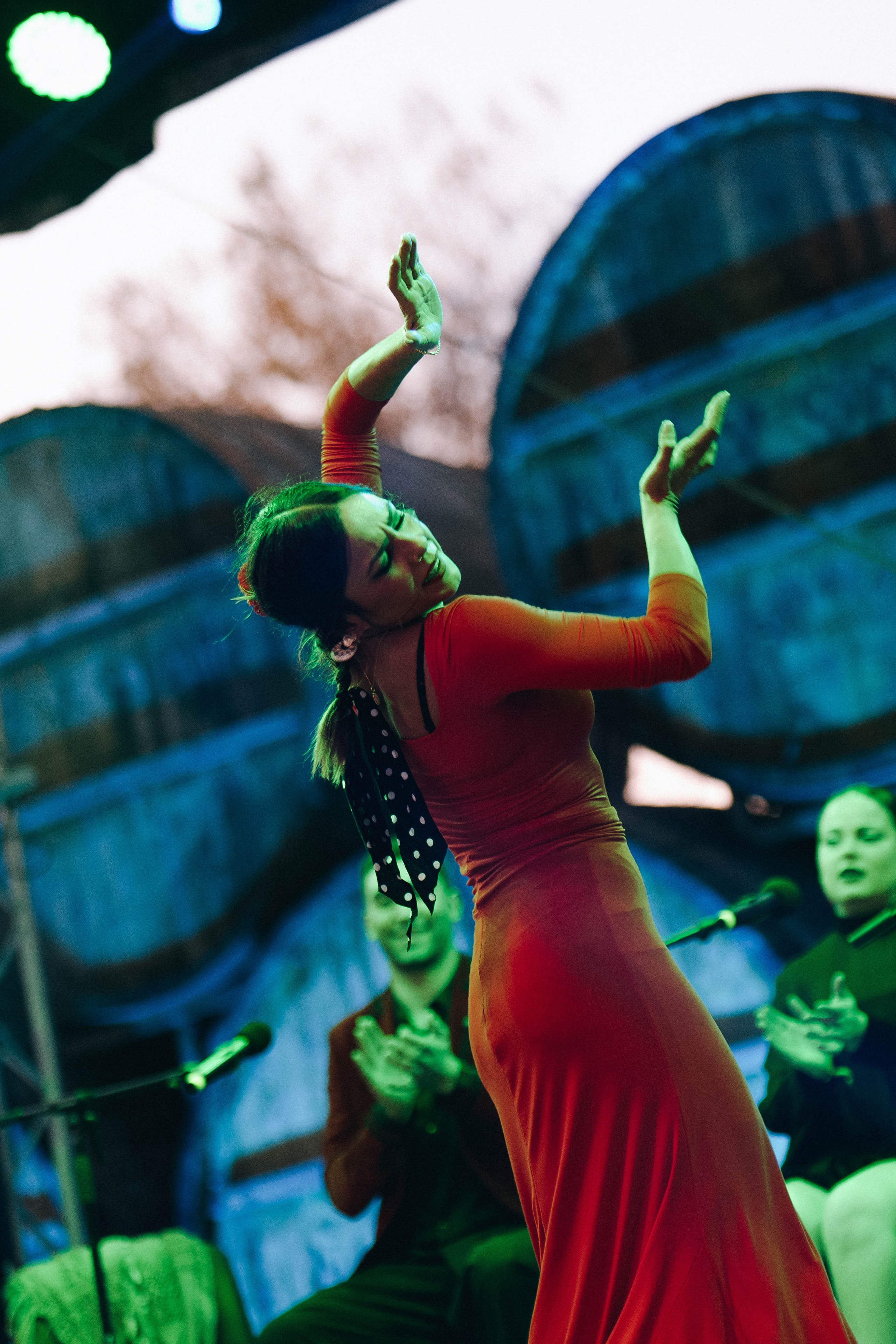 MEYSARI WINE FESTIVAL. Wedding&Event photographer Ismail Rzayev in Baku