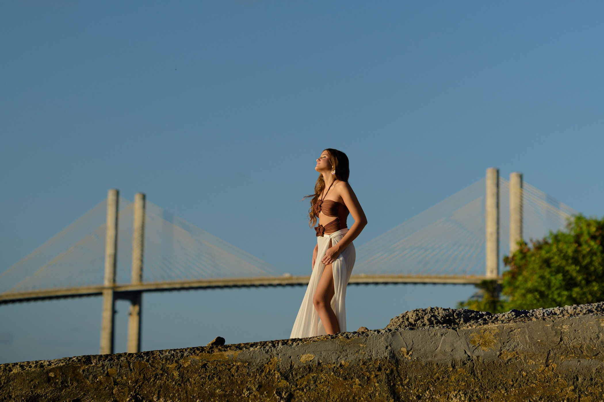 Ensaio de Debutante. Galeria