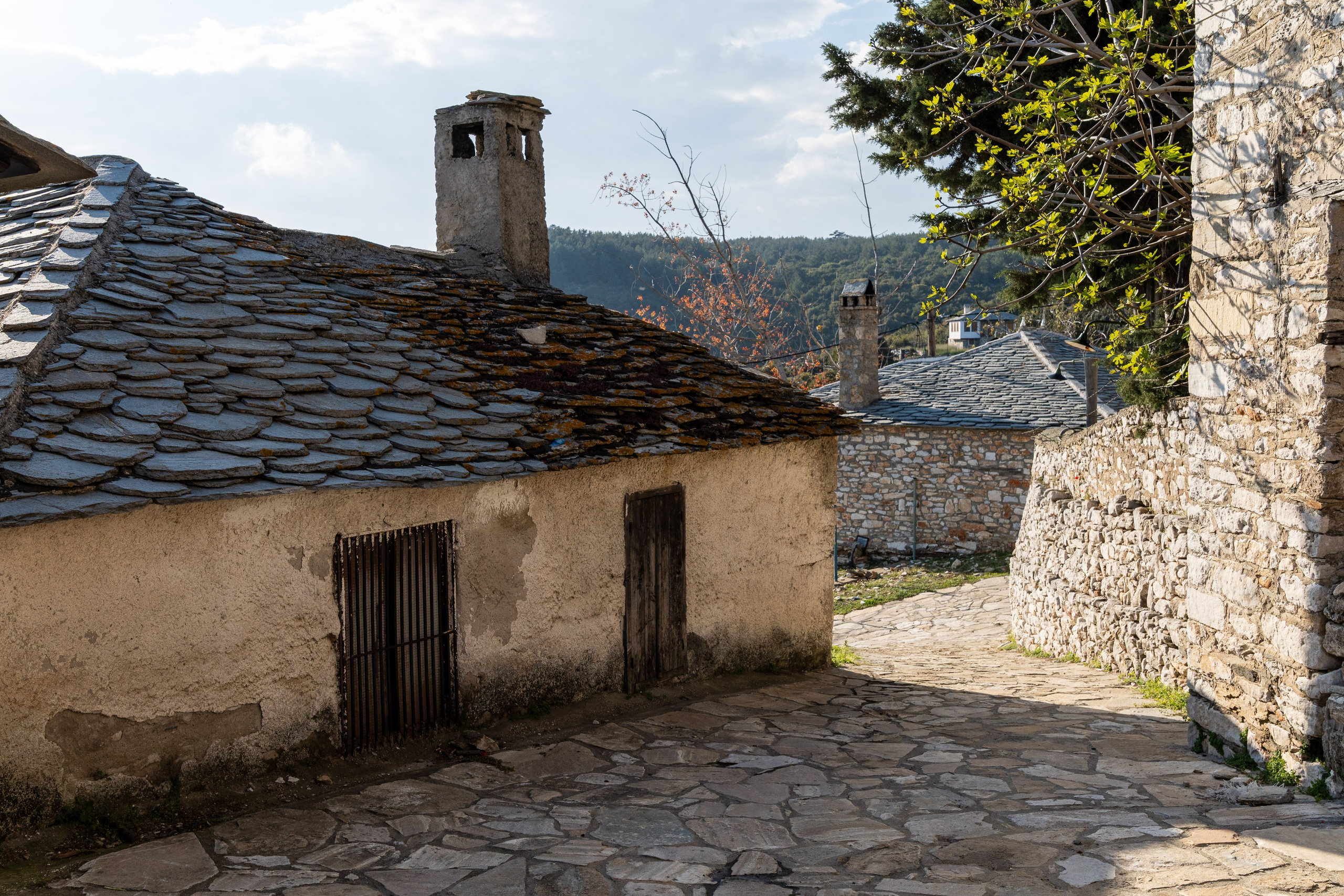 Thasos 2025. Fotografiideplacere.net
