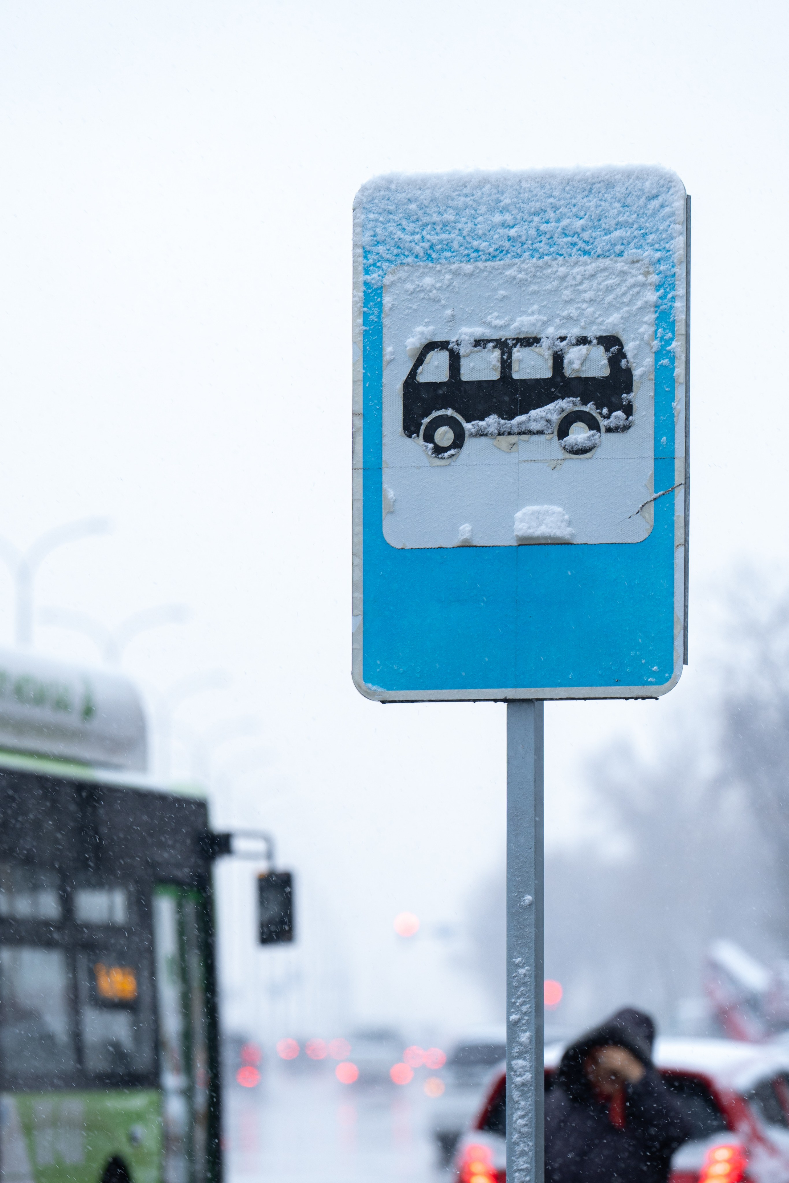 Первый снег в 2024 году. Георгий Намазов | Фотограф в Ташкенте