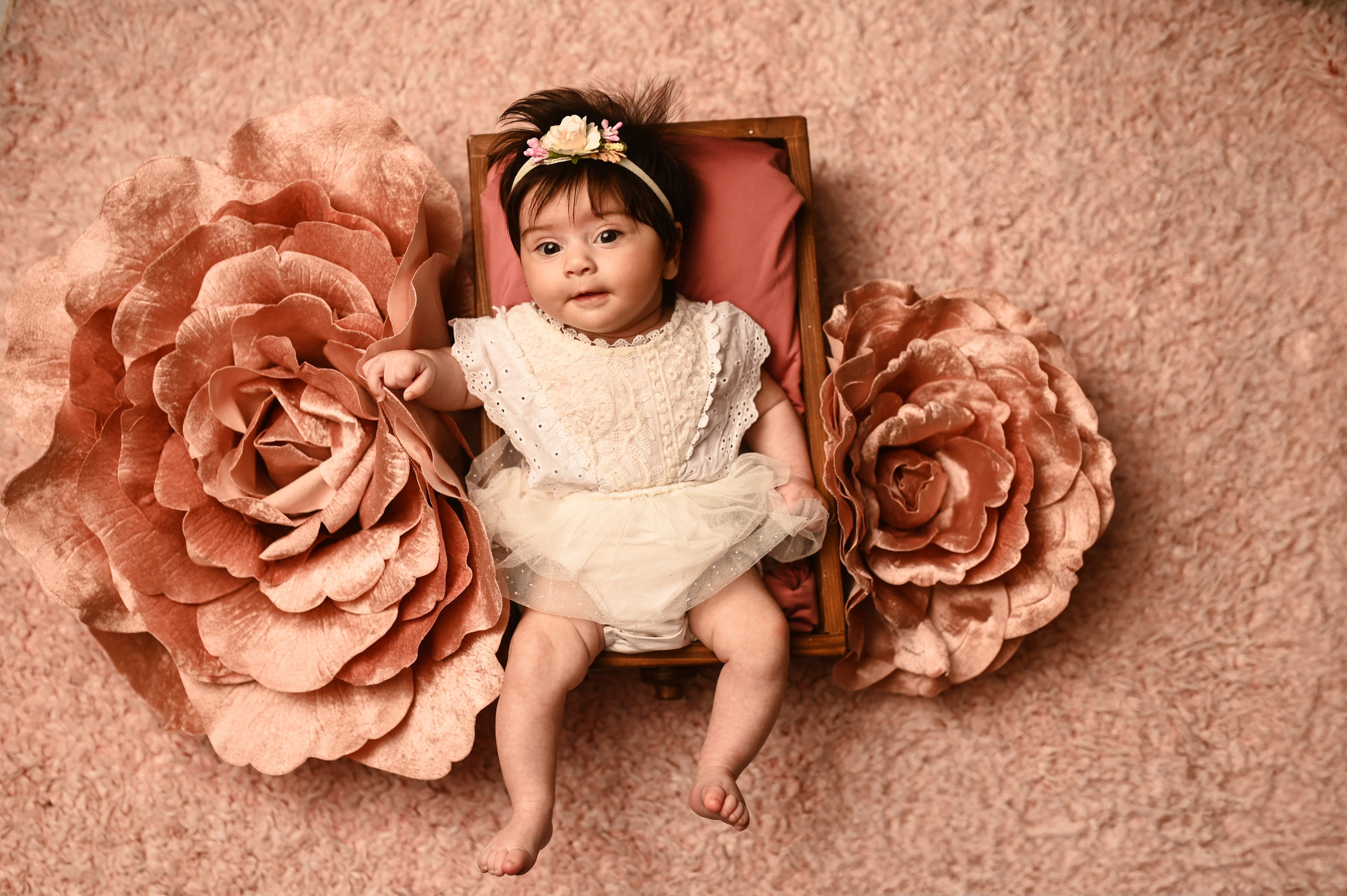 Baby Photoshoot (3-11months old). WELCOME