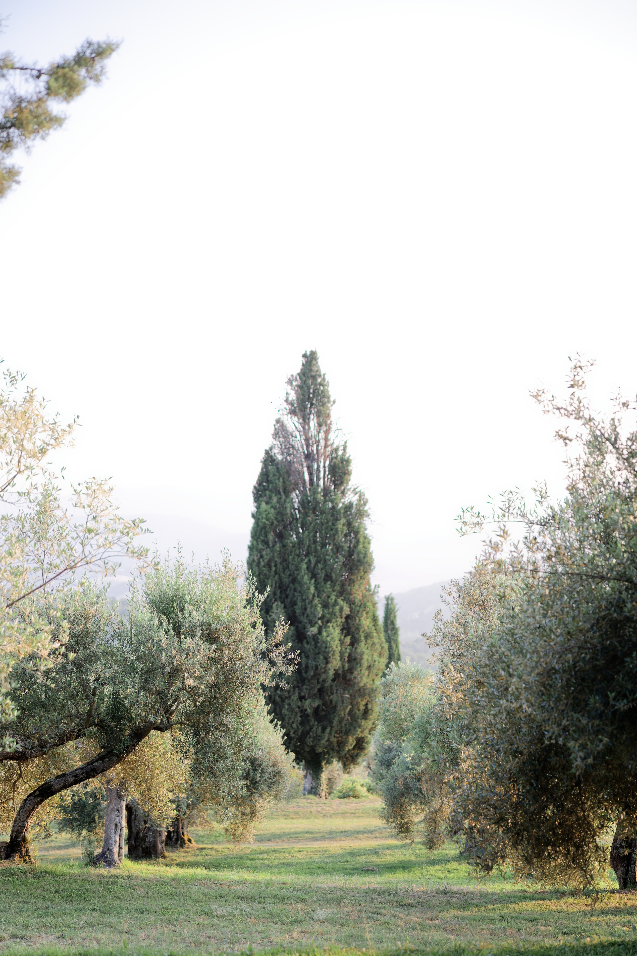 Wedding at Borgo Bastia Creti, Umbria