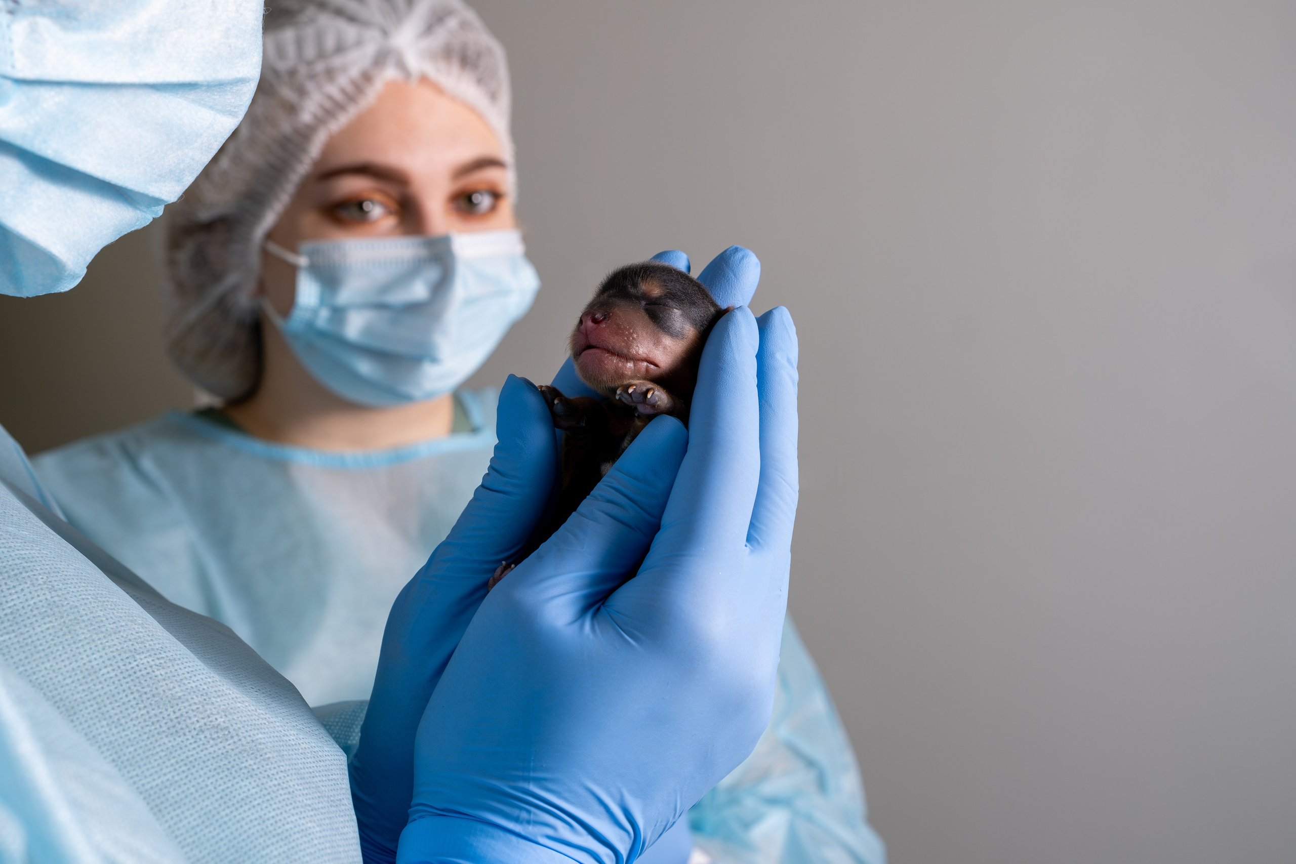 Ваш відеограф для будь яких подій