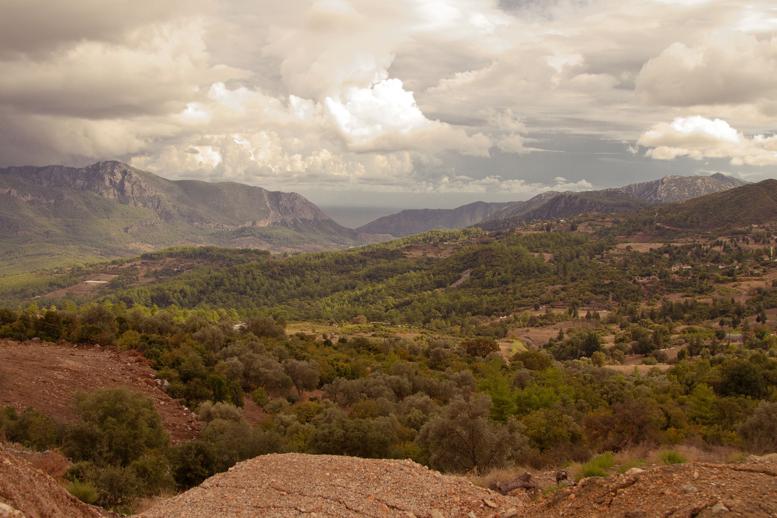 Пейзаж. Фотограф Игорь Баранюк