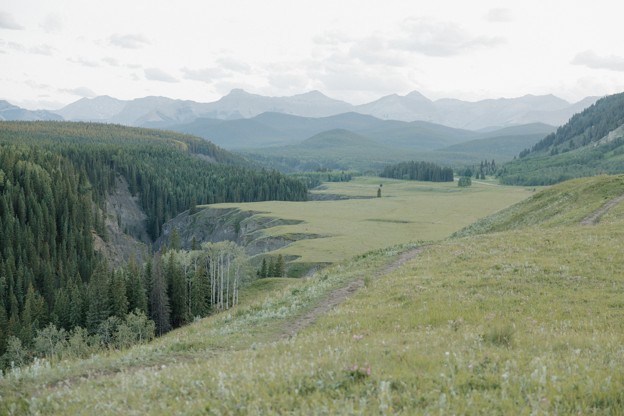Kate & Oleg. Photographer Stanislav Antonov