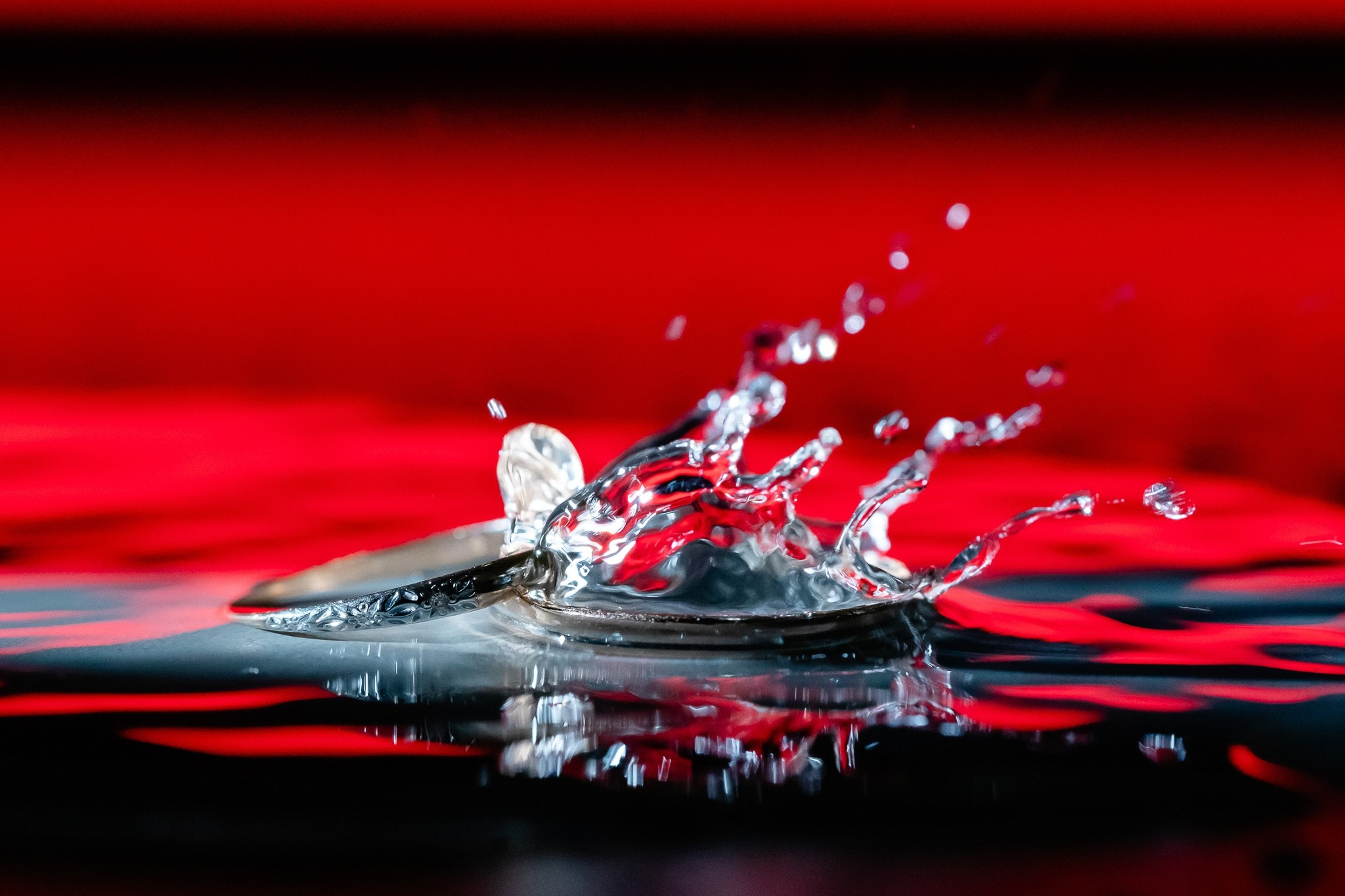 Nunta Catalina & Sorin