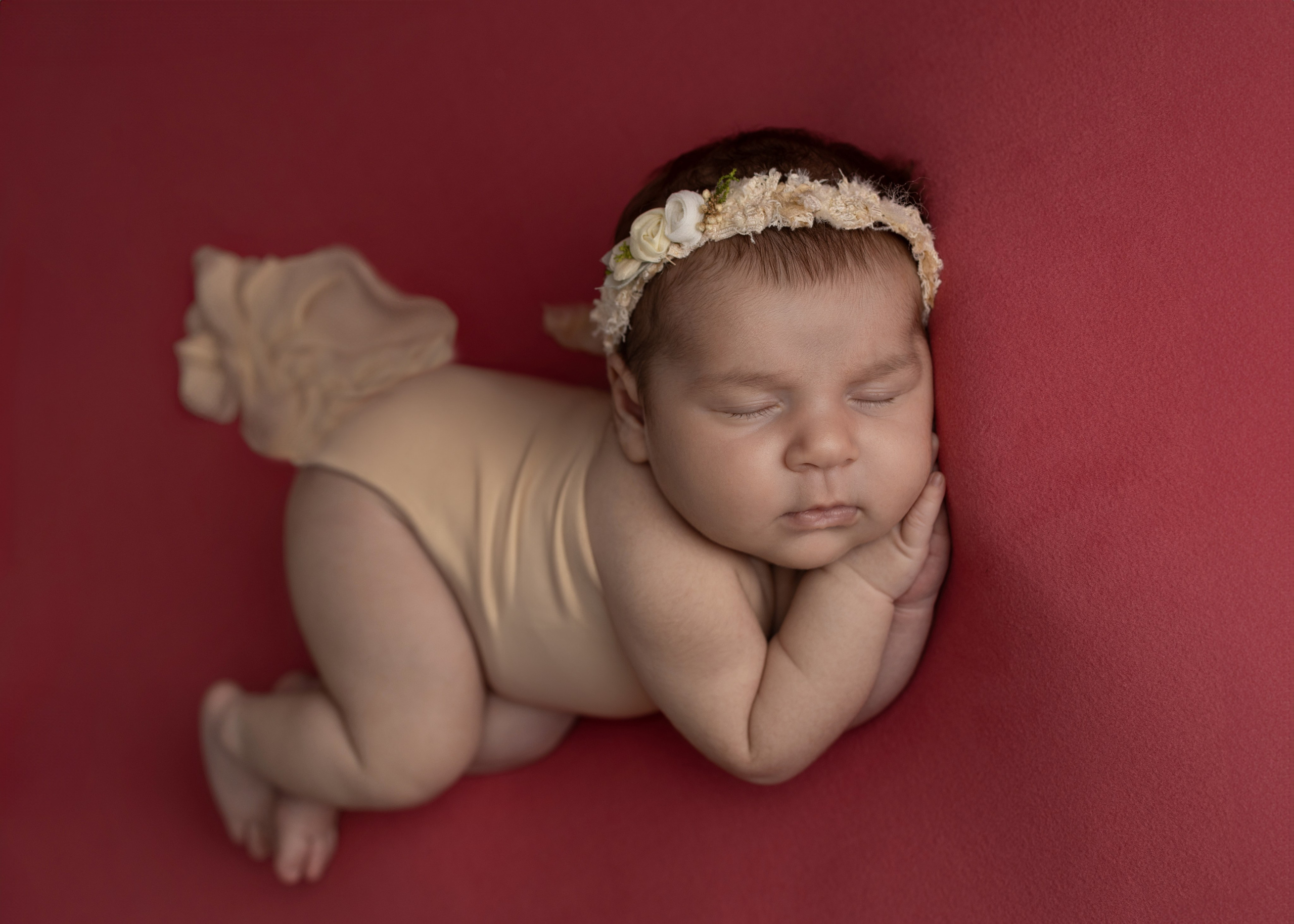 Каталог 17 Newborn. Катерина Шустерман — фотограф Newborn, семейный в Израиле