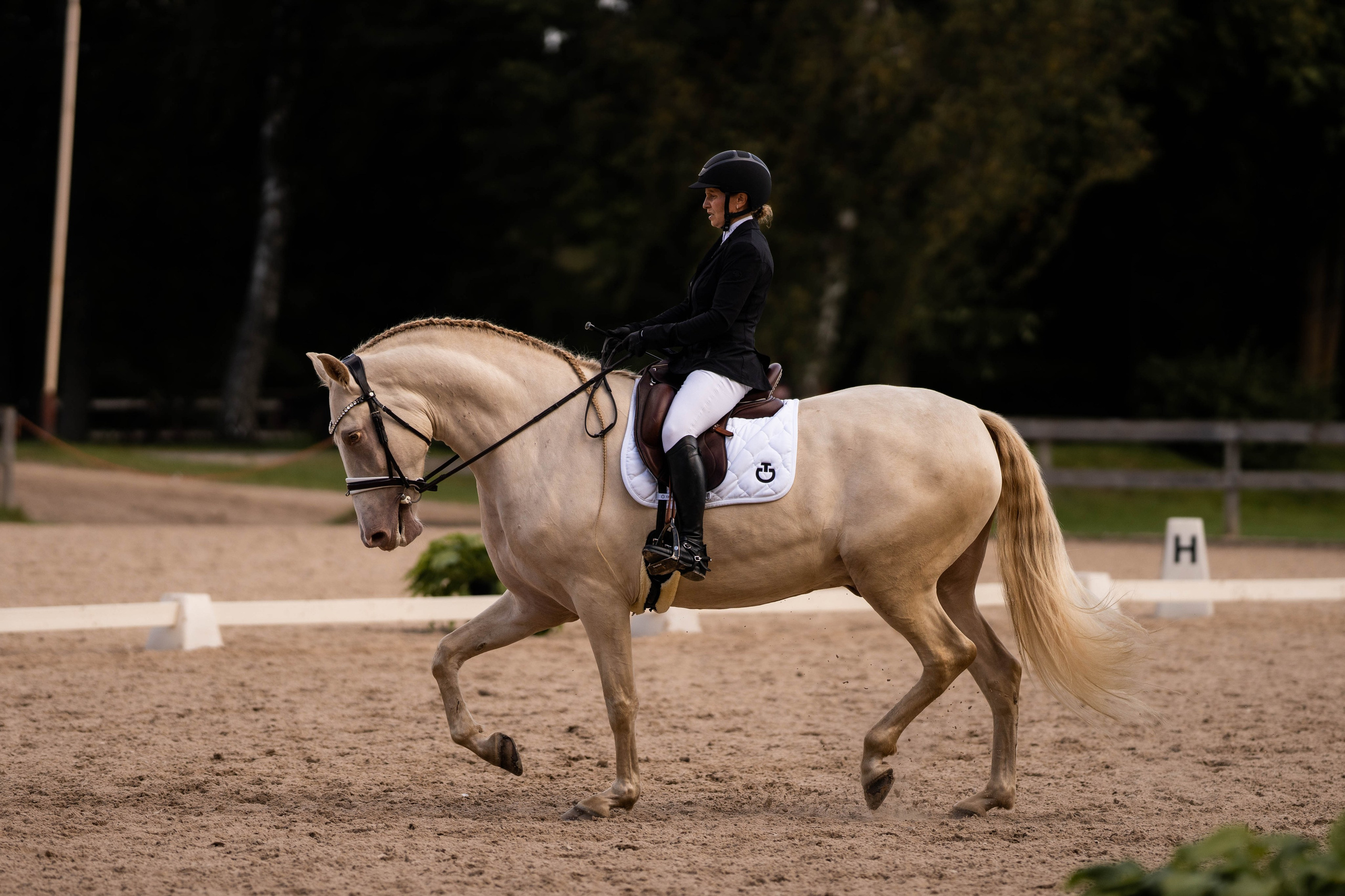 Dressage competitions. Sports and portrait photographer in Riga