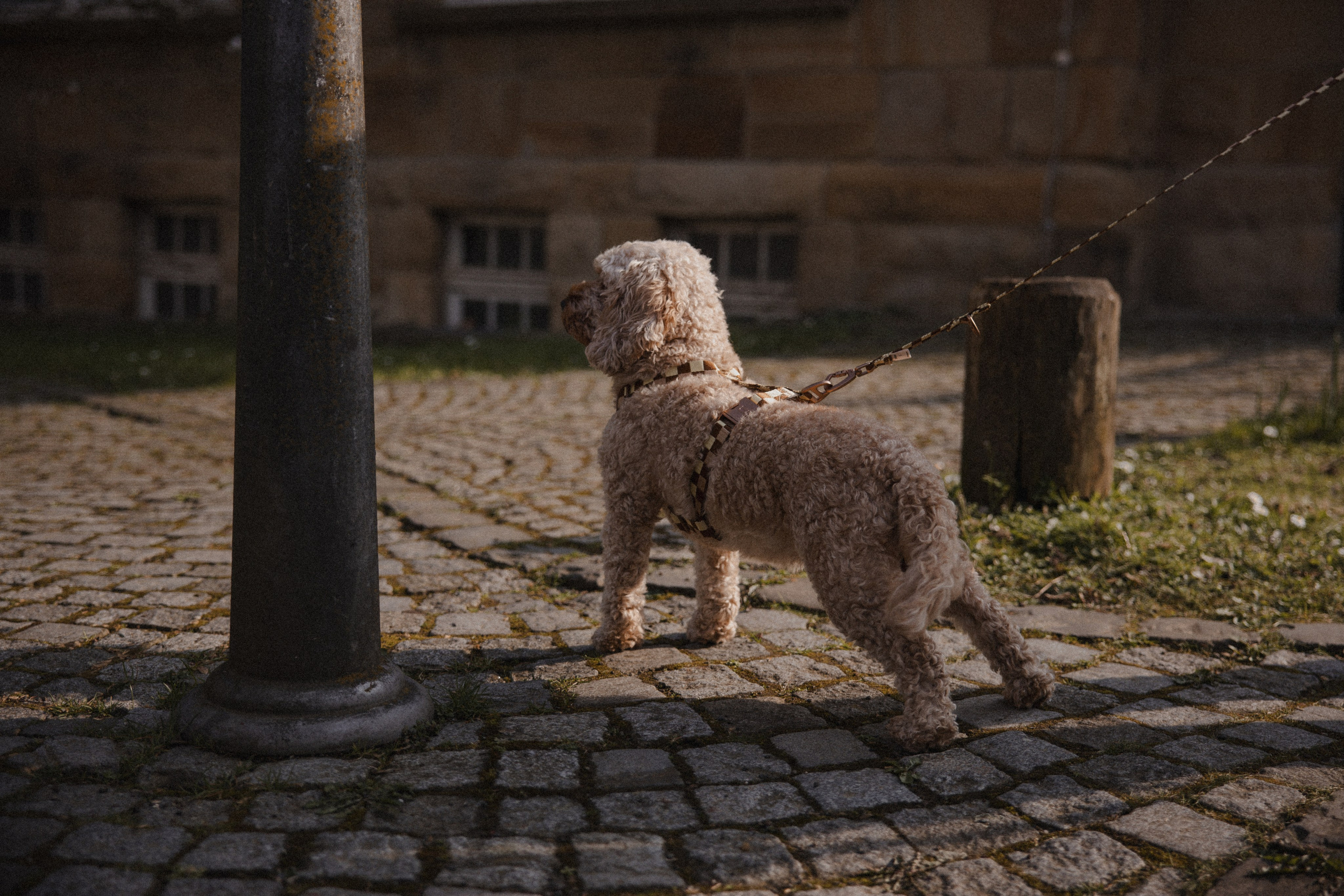 Morena & Niklas I Haus Hohenstein. Hochzeitsfotografin Bochum | Halyna Reiche Fotografie NRW
