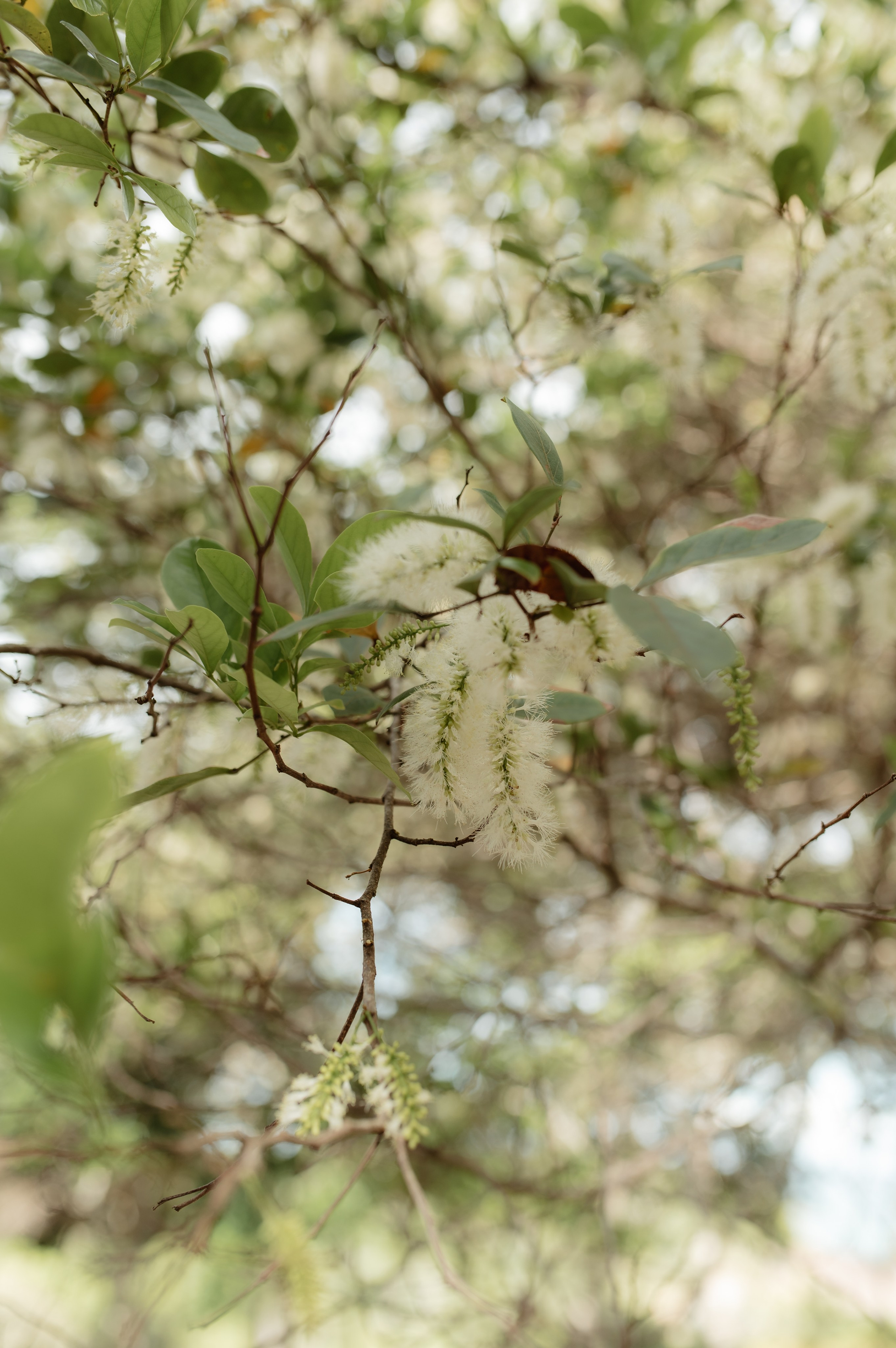 Aldre & Matheus | Guarapari. Lembrar não é só ver. É sentir de novo