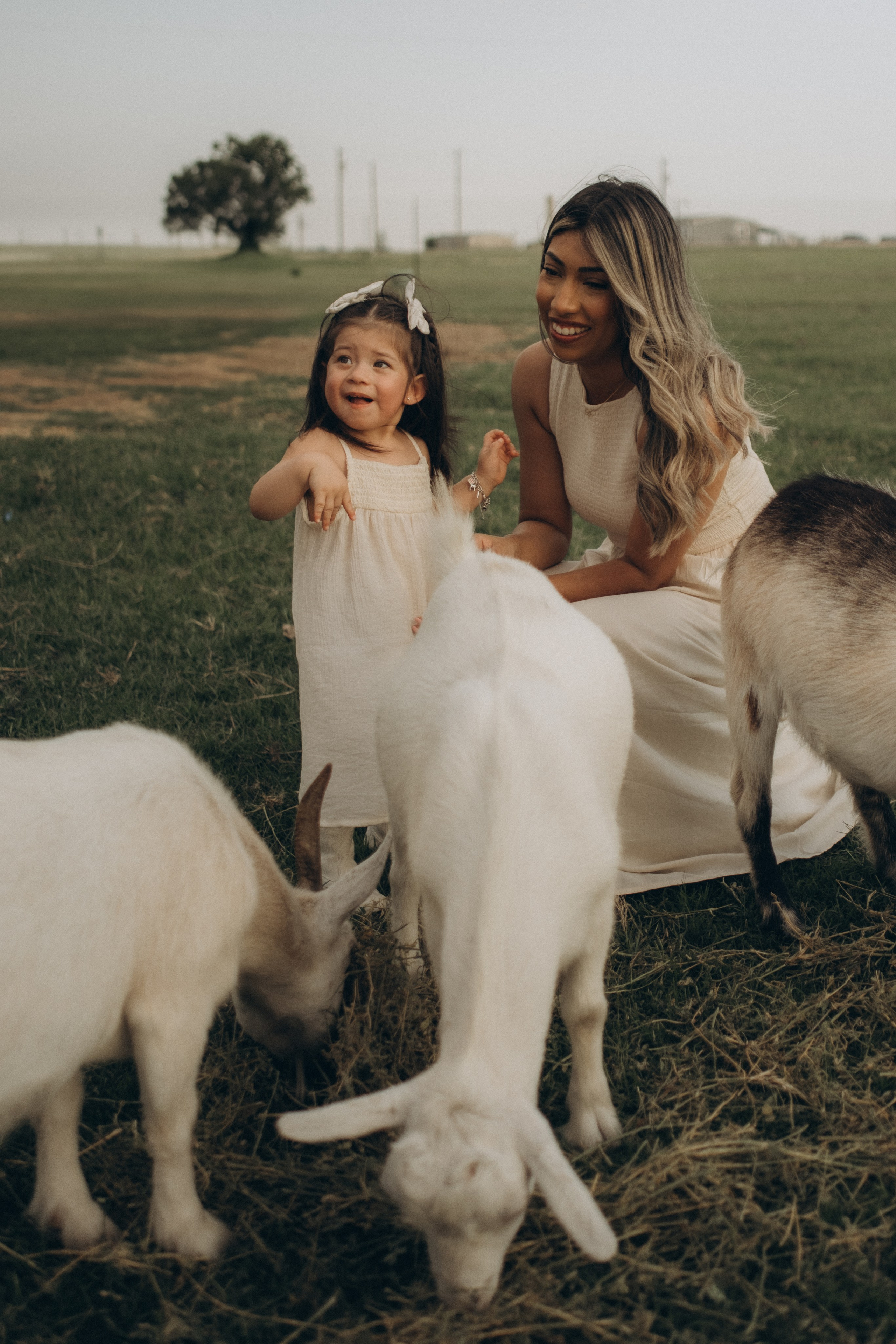 Farm Story. Lens Captures Life