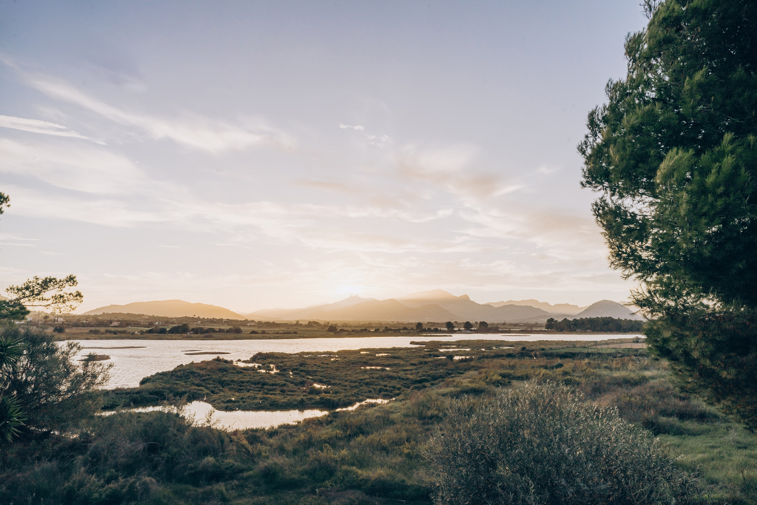 Happy anniversary. Photographer in Mallorca