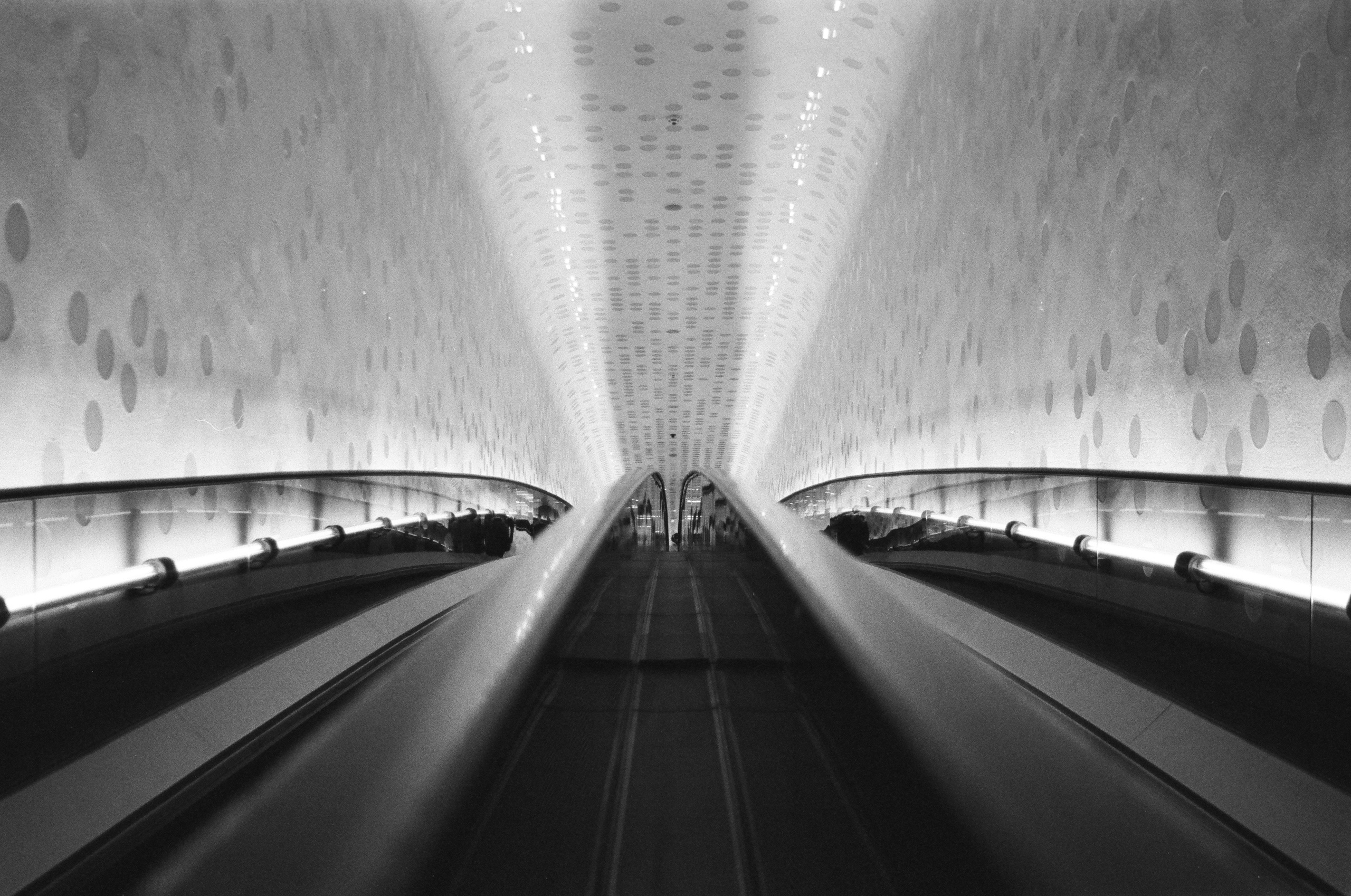 Hochzeitsfotograf Hamburg - Wedding Sessions in Hamburg