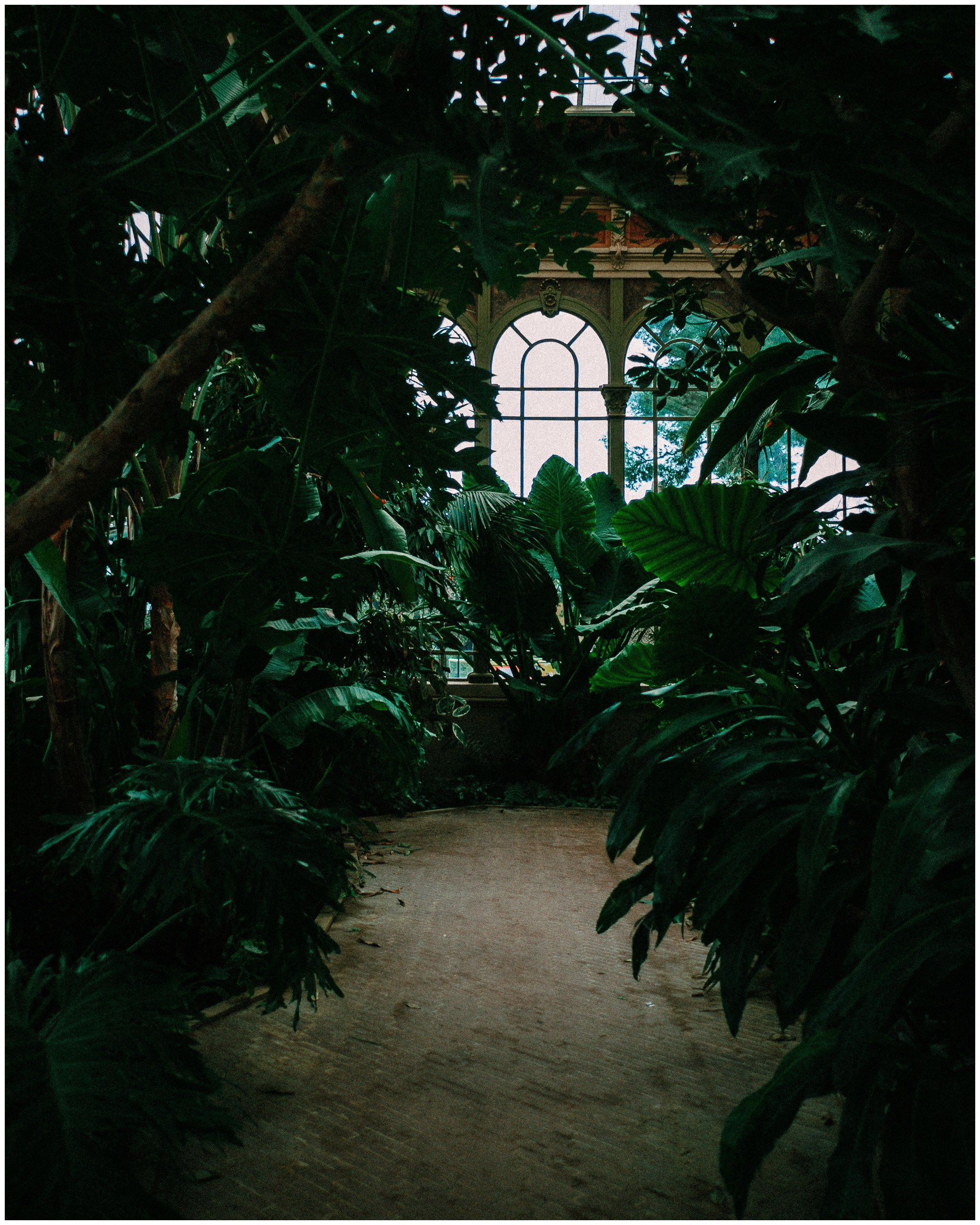 BARCELONA. Inna Mendelson — Photographer