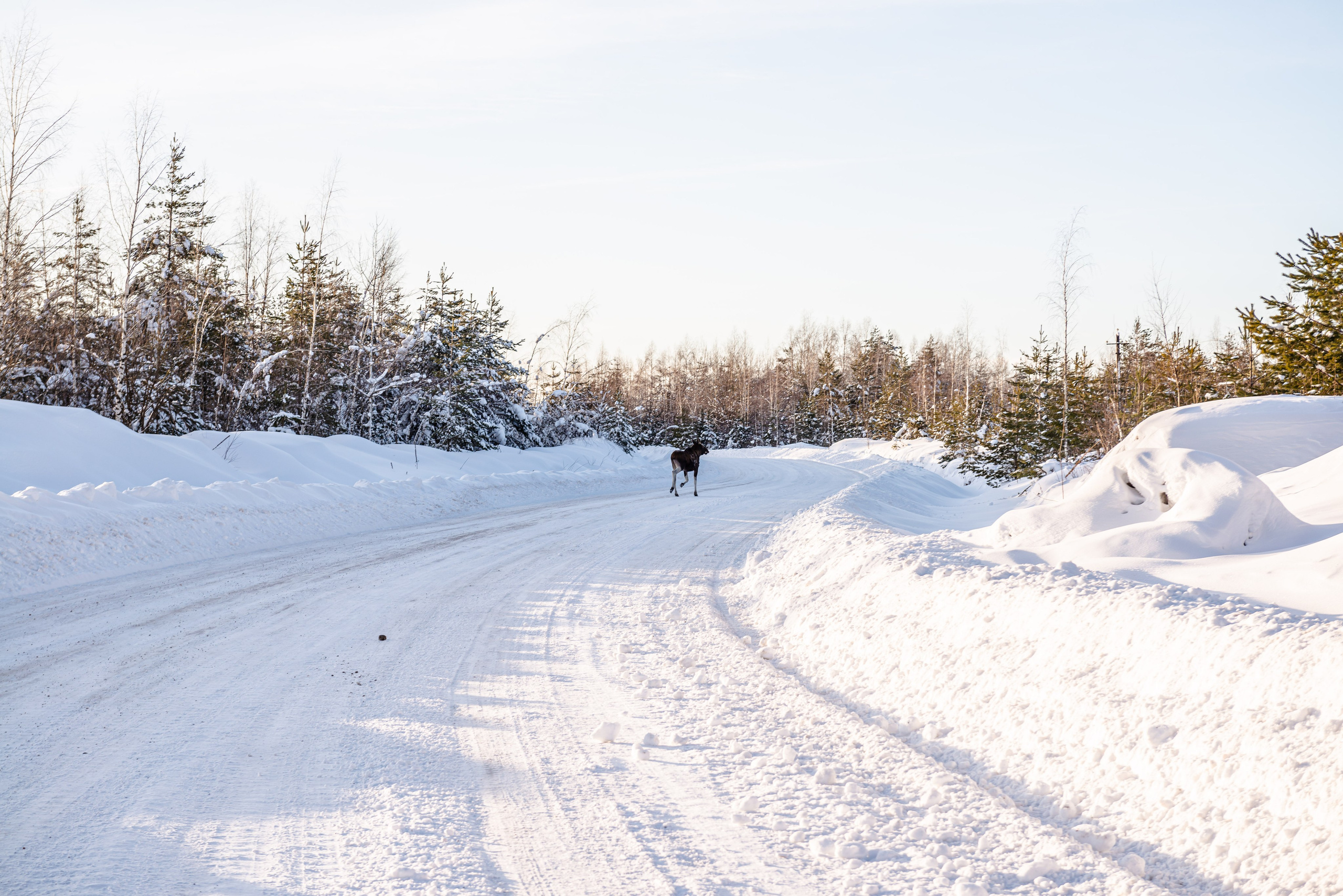 Автомобильная фотосъемка Geely Monjaro. FOTÓGRAFO MÉXICO QUINTANA ROO